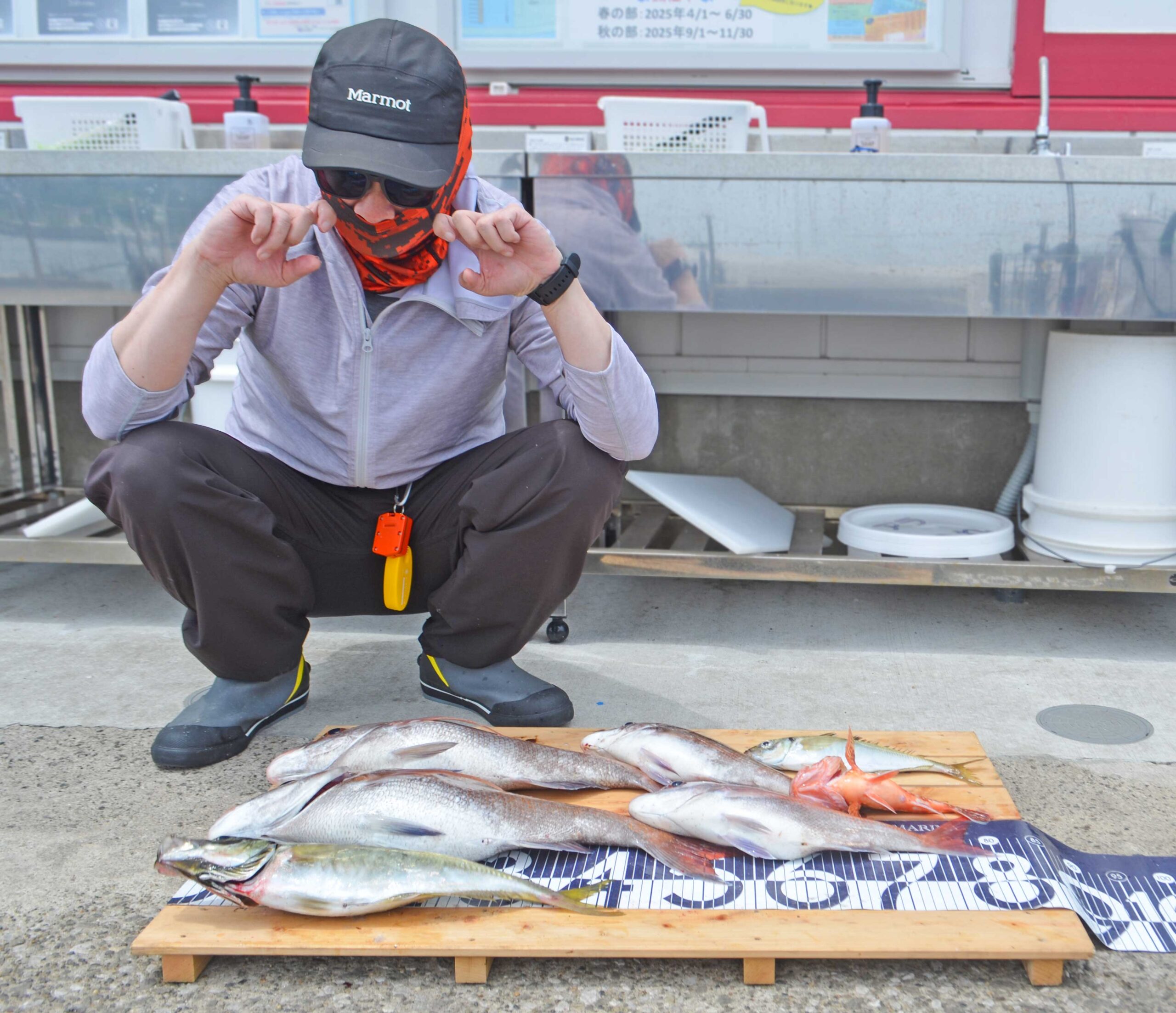 ✿マダイ・アジ・カサゴ✿
