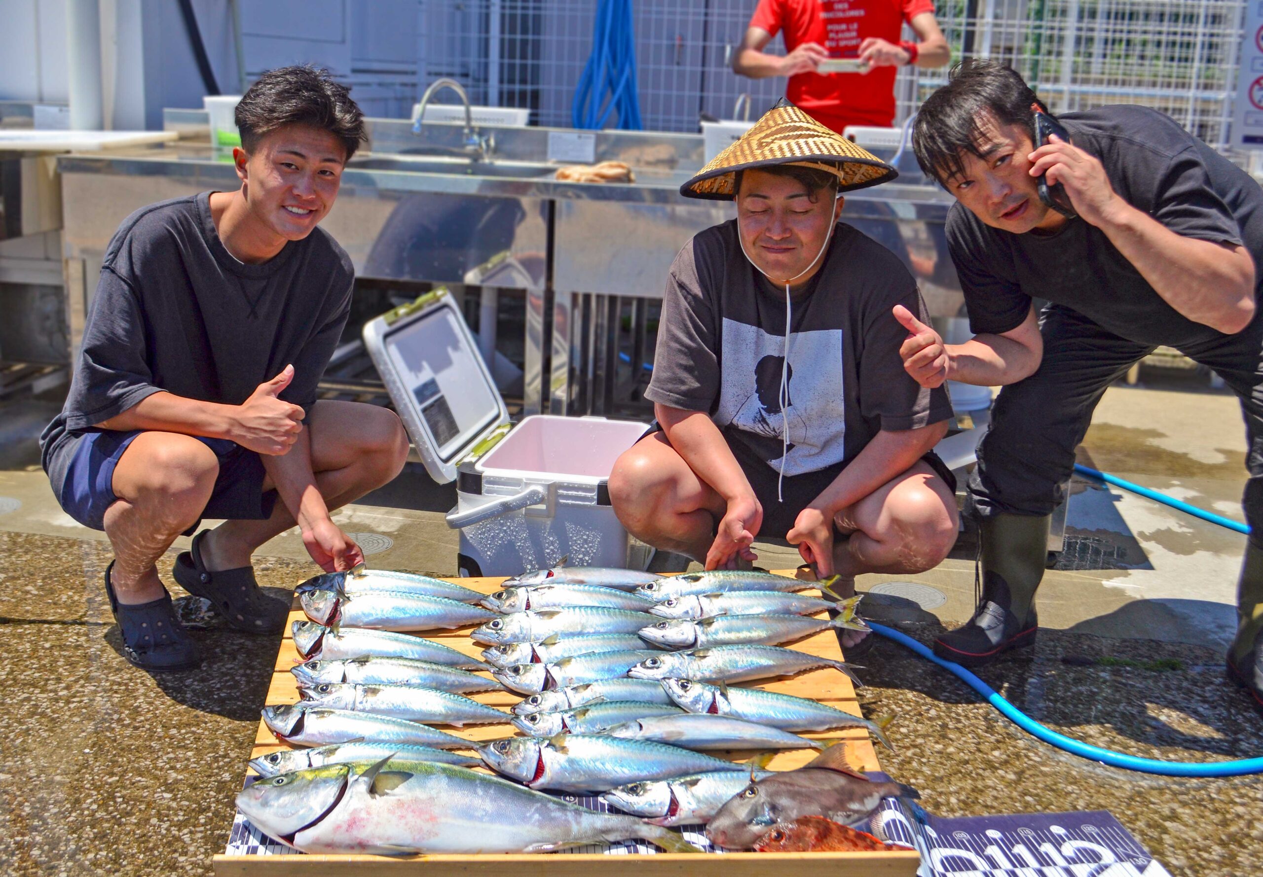 ✿ワラサ・サバ・ウマヅラハギ・カサゴ✿