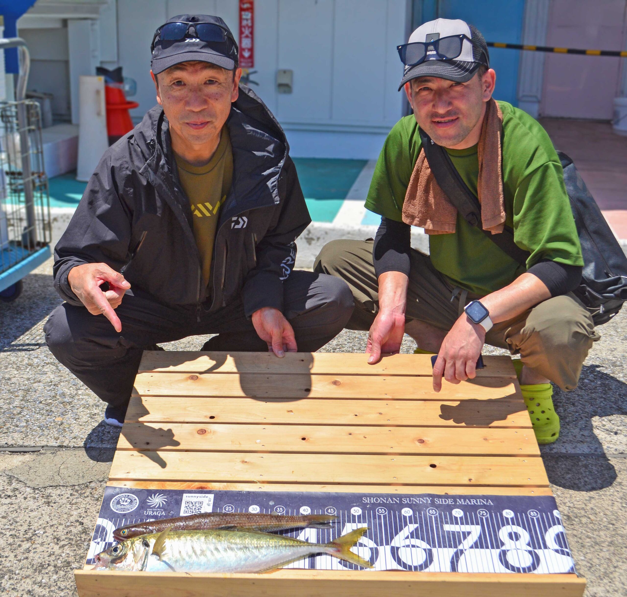 ✿アジ・エソ✿