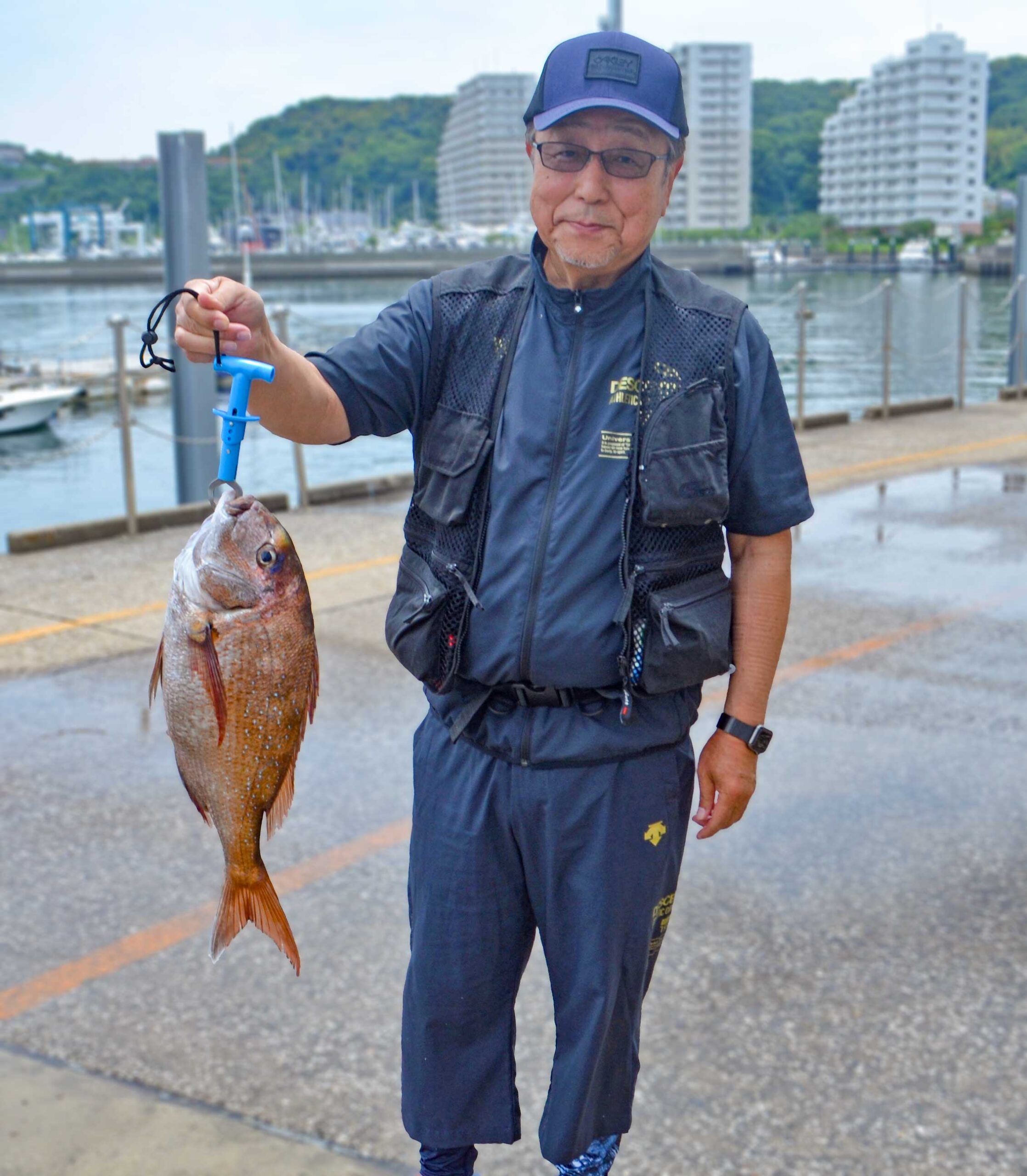 ✿マダイ・アジ・サバ・イトヨリダイ✿