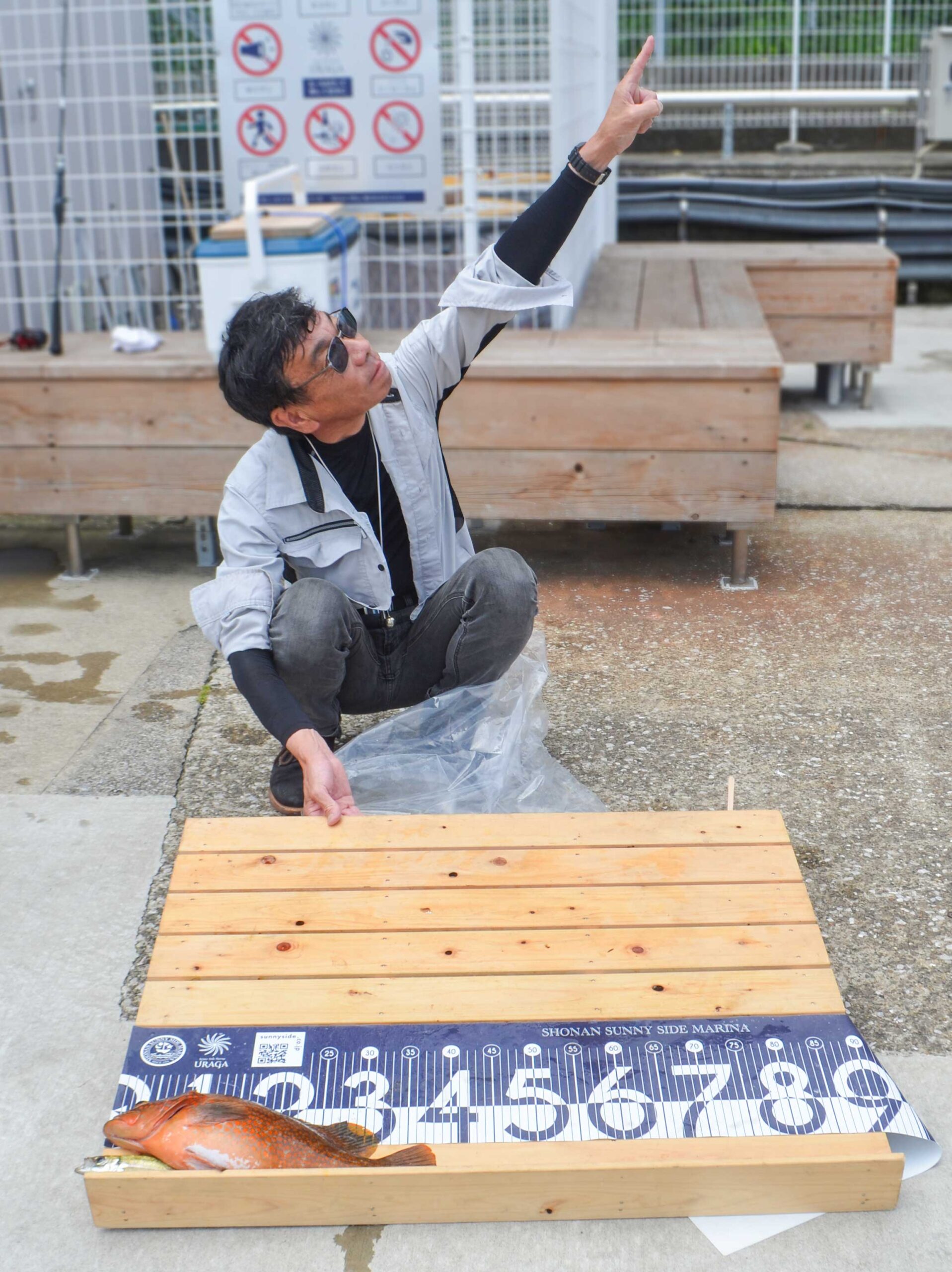 ✿キジハタ・アジ✿