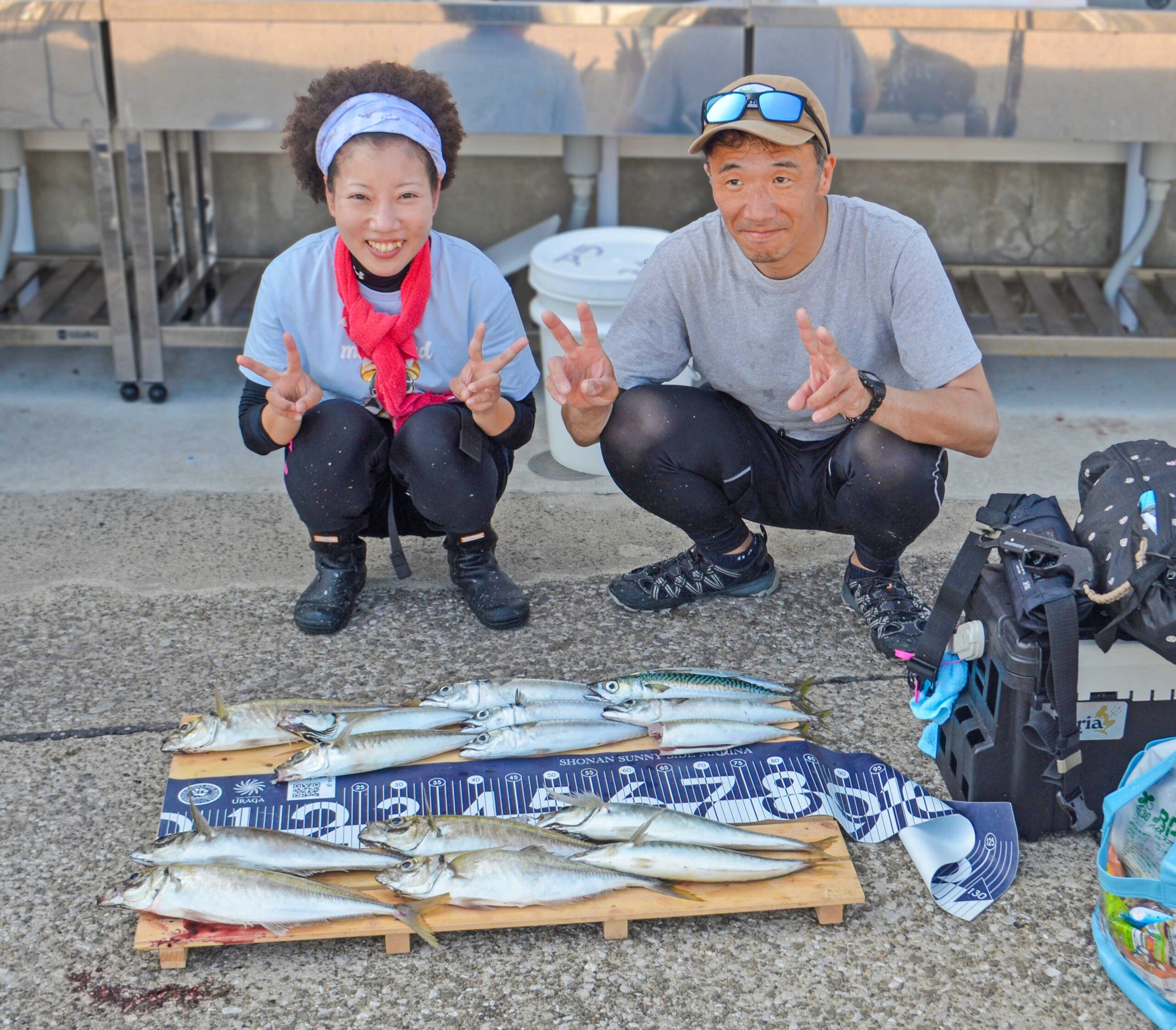 ✿アジ・サバ✿