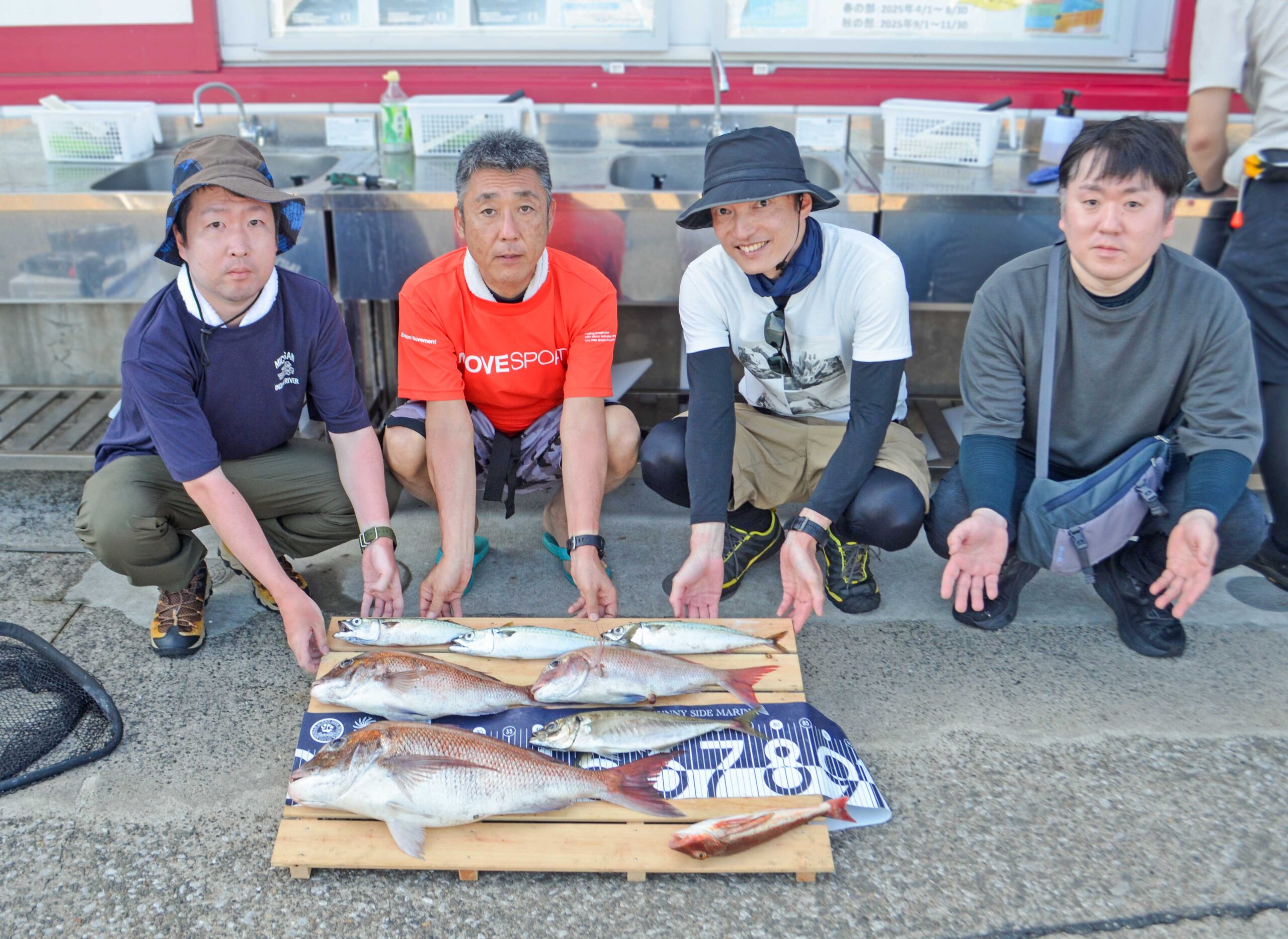 ✿マダイ・アジ・サバ・ホウボウ✿