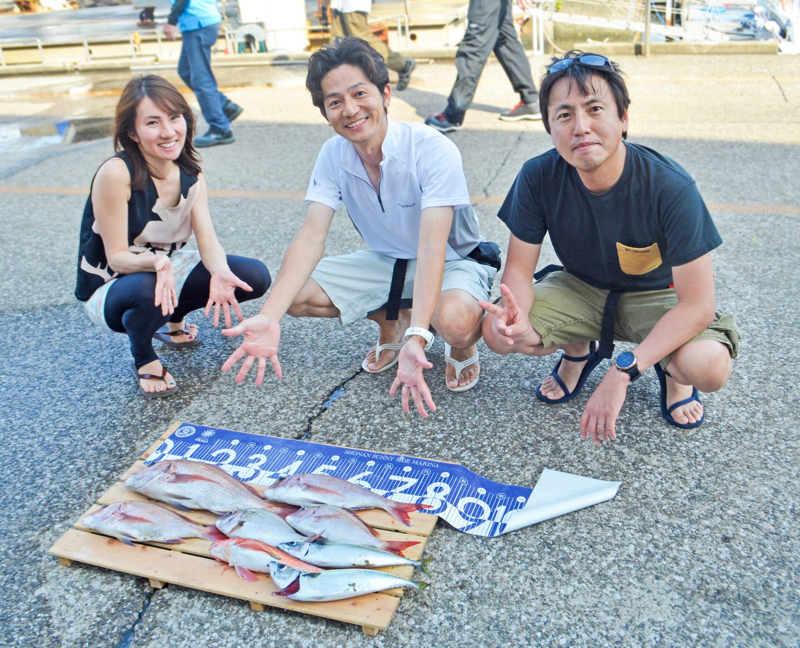 ✿マダイ・ホウボウ・サバ✿