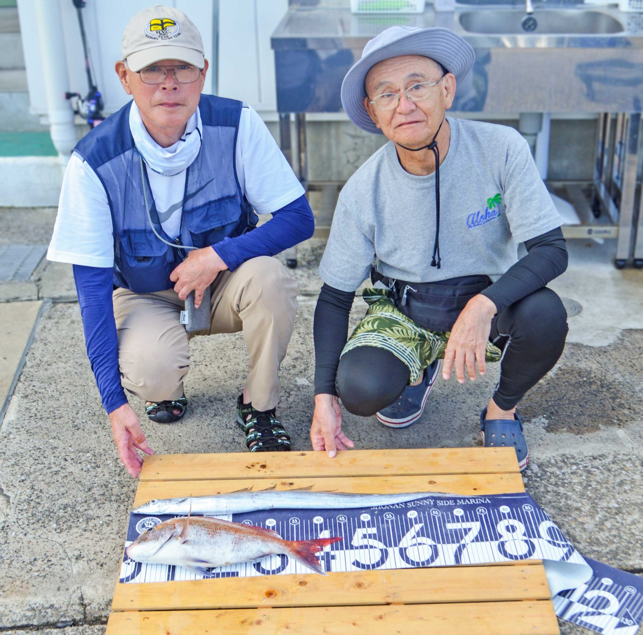 ✿マダイ・タチウオ✿