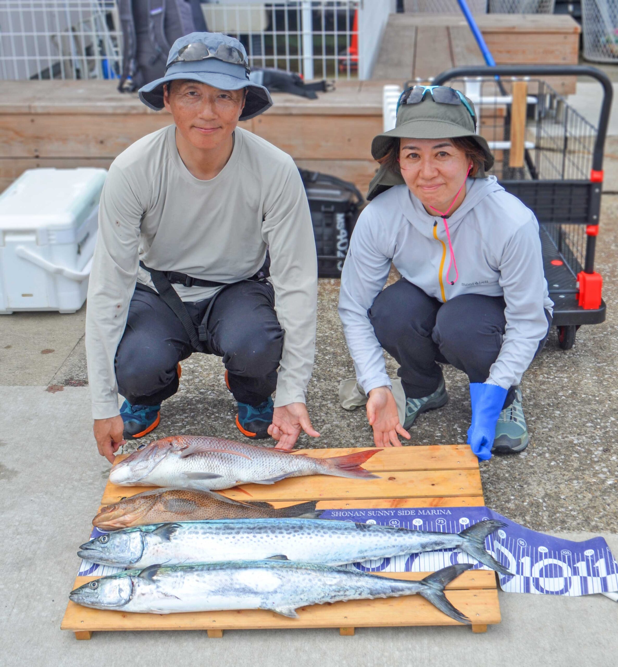 ✿マダイ・サワラ・オオモンハタ✿