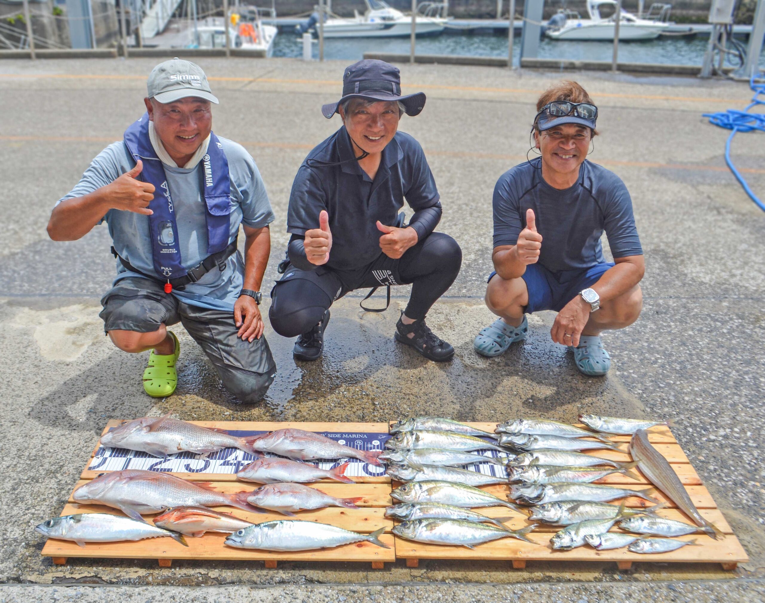 ✿マダイ・アジ・サバ・ホウボウ・エソ✿