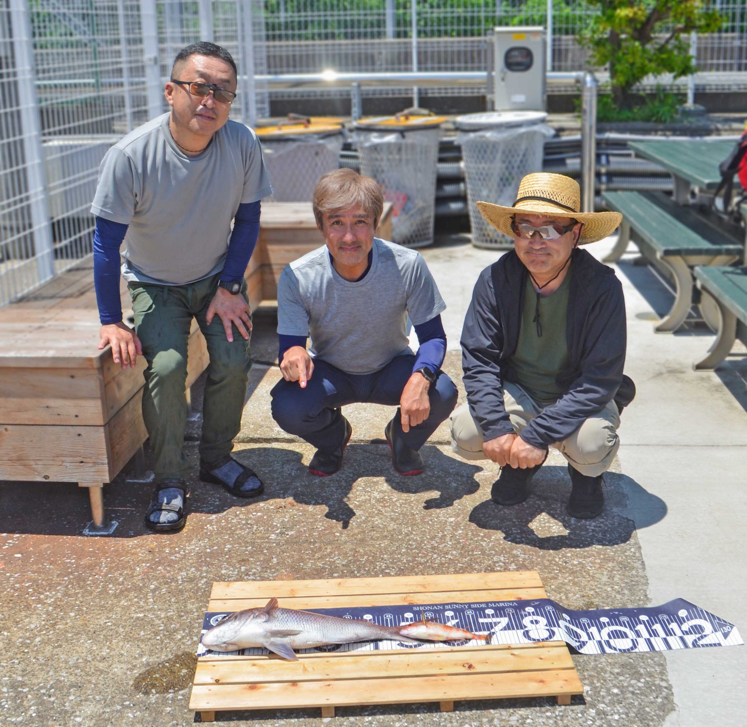 ✿マダイ・タマガシラ✿