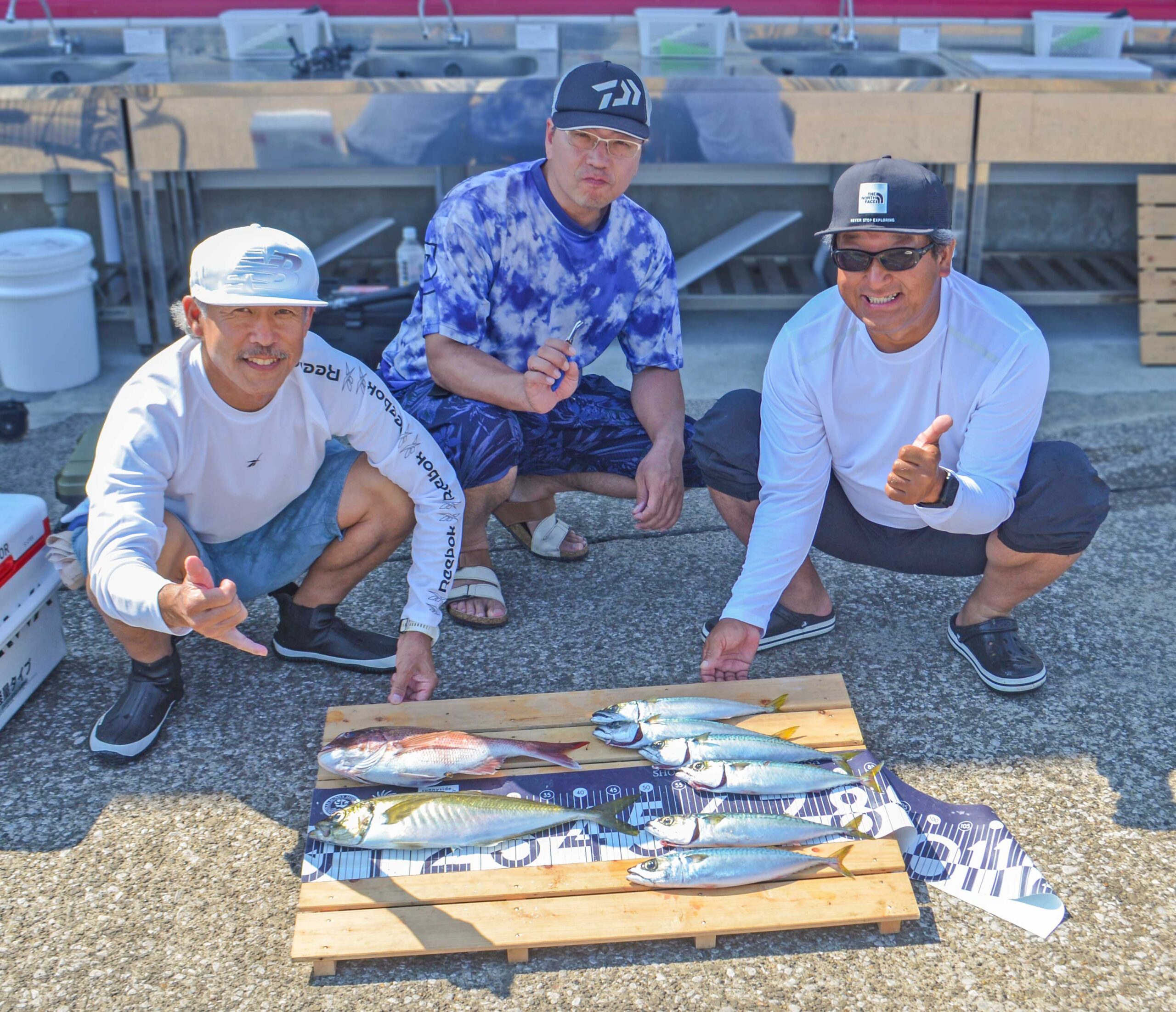 ✿マダイ・アジ・サバ✿