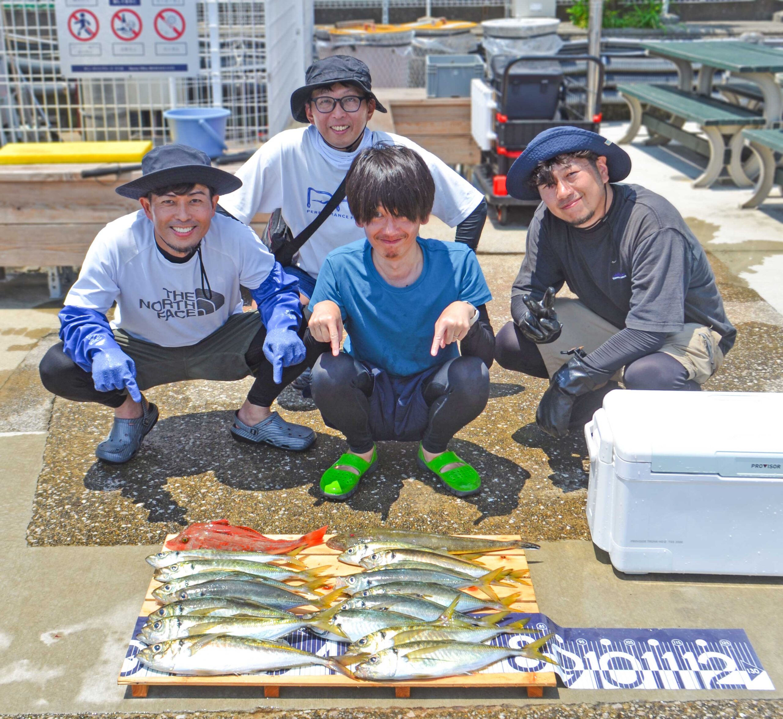 ✿アジ・ホウボウ・マゴチ✿