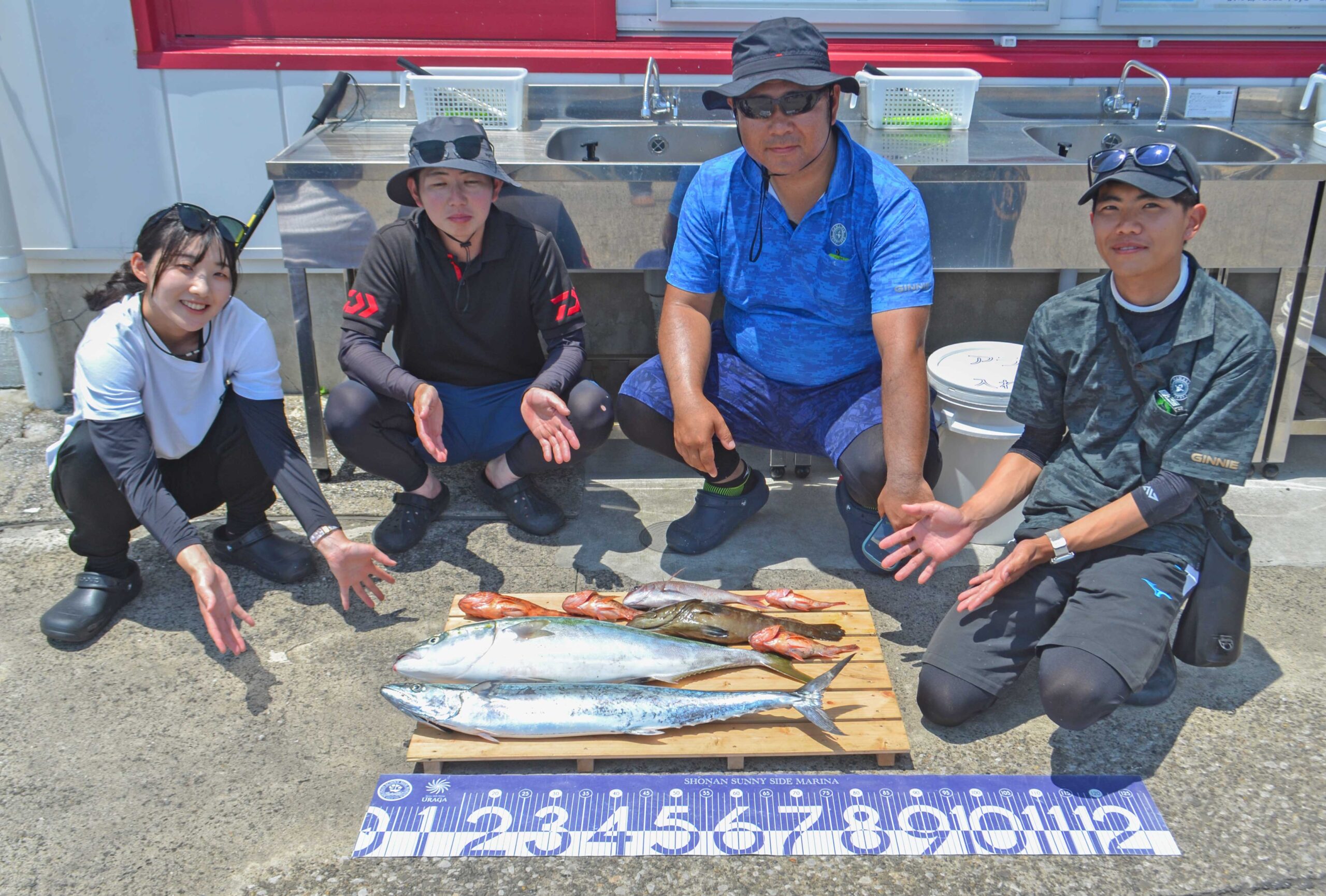 ✿ブリ・サワラ・マダイ・マハタ・カサゴ・サバ✿