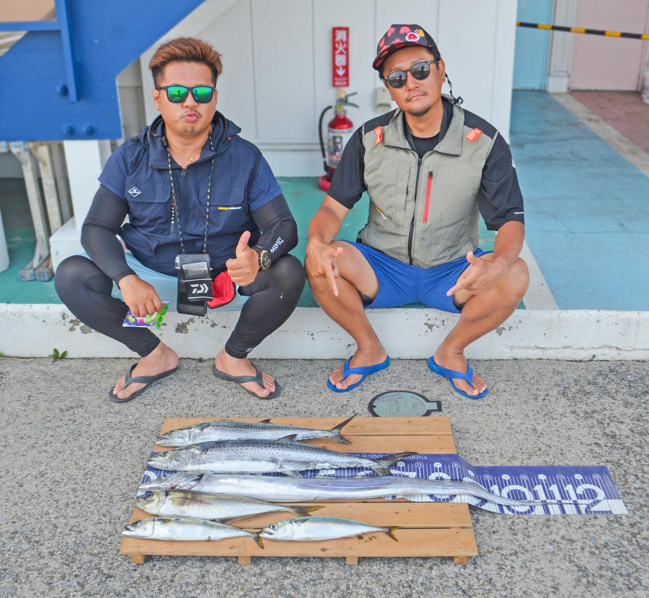 ✿サワラ・タチウオ・アジ・サバ✿