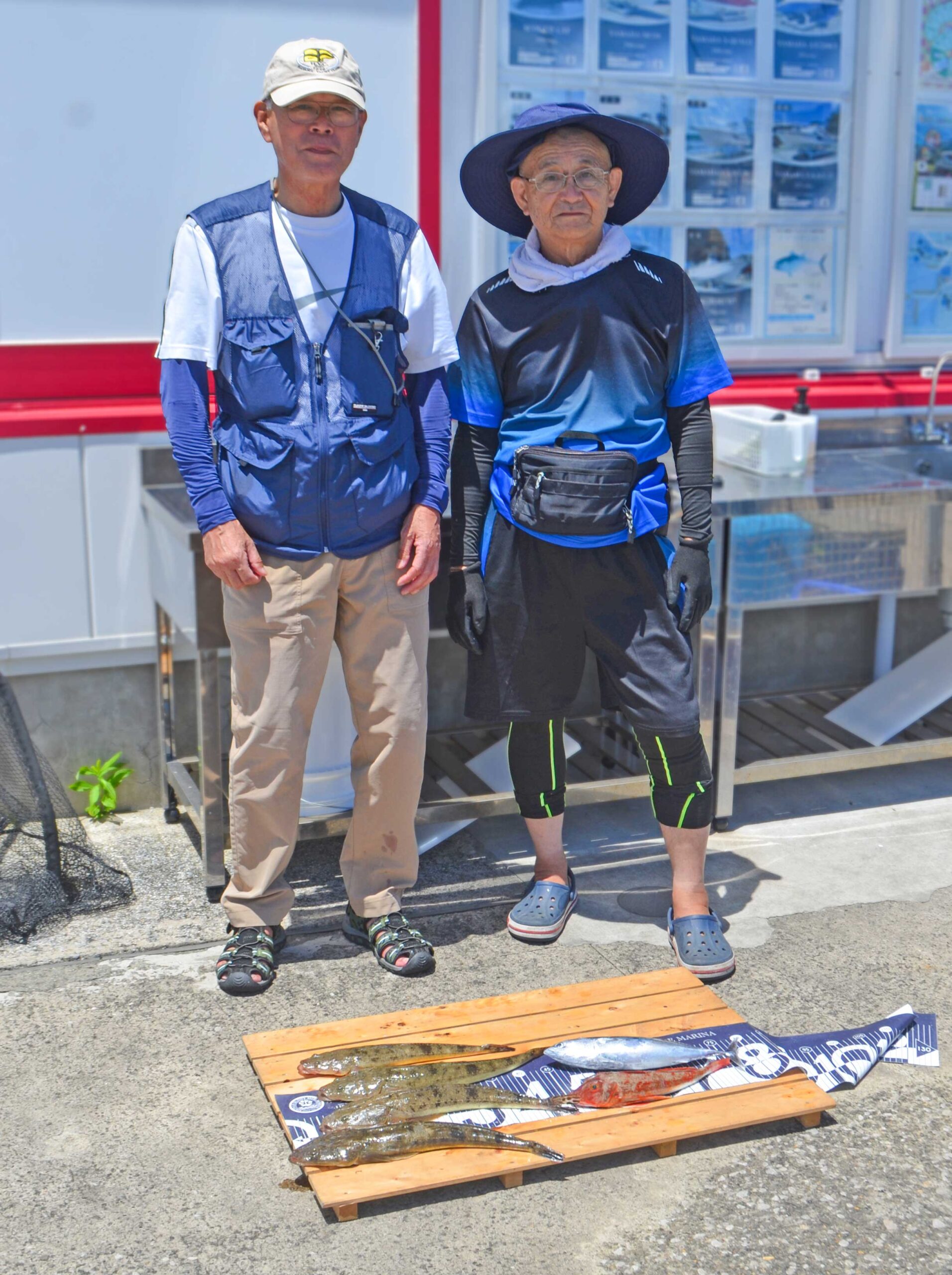 ✿マゴチ・ソウダガツオ・ホウボウ✿