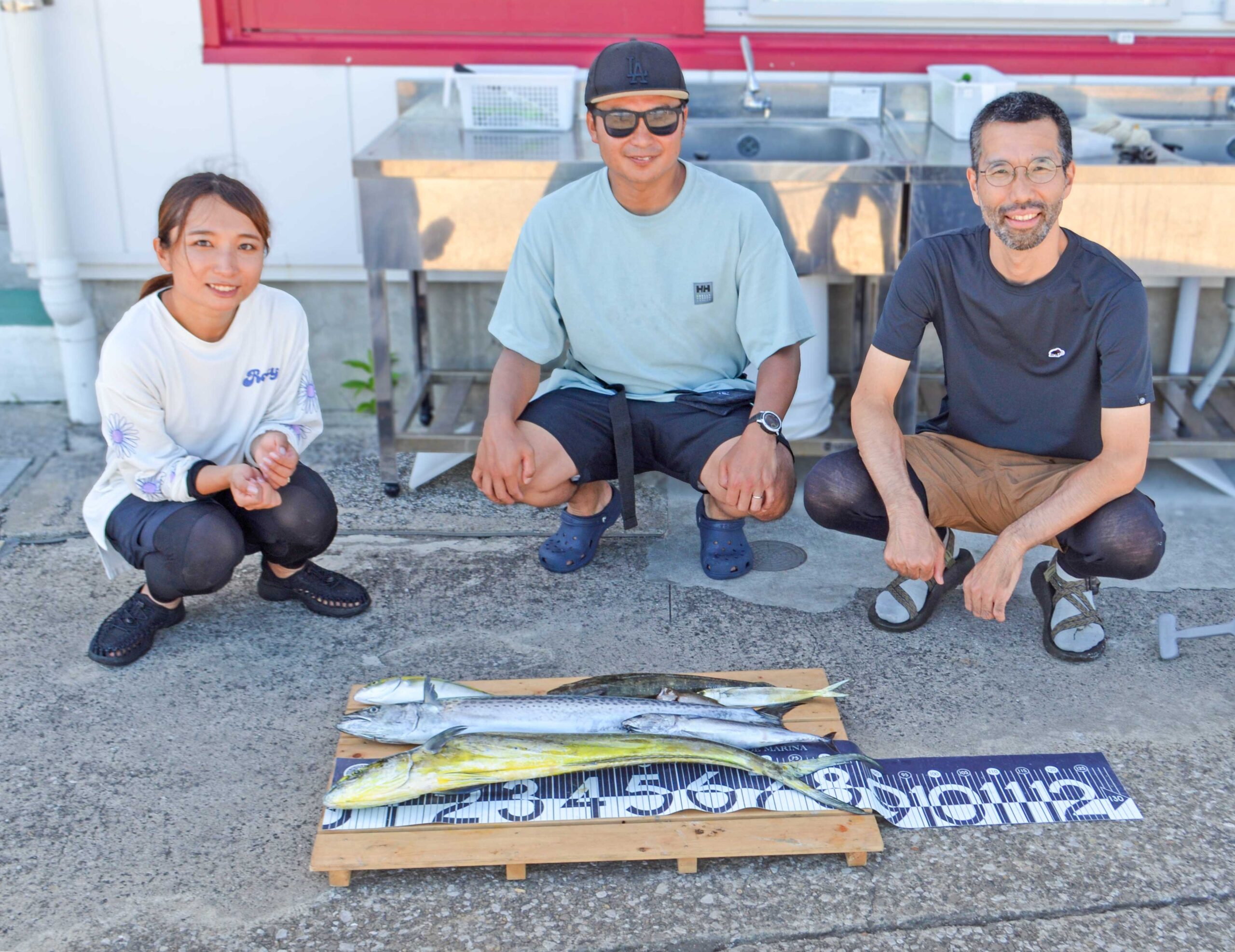 ✿シイラ・サワラ・マゴチ・ソウダガツオ・カンパチ・クロムツ✿