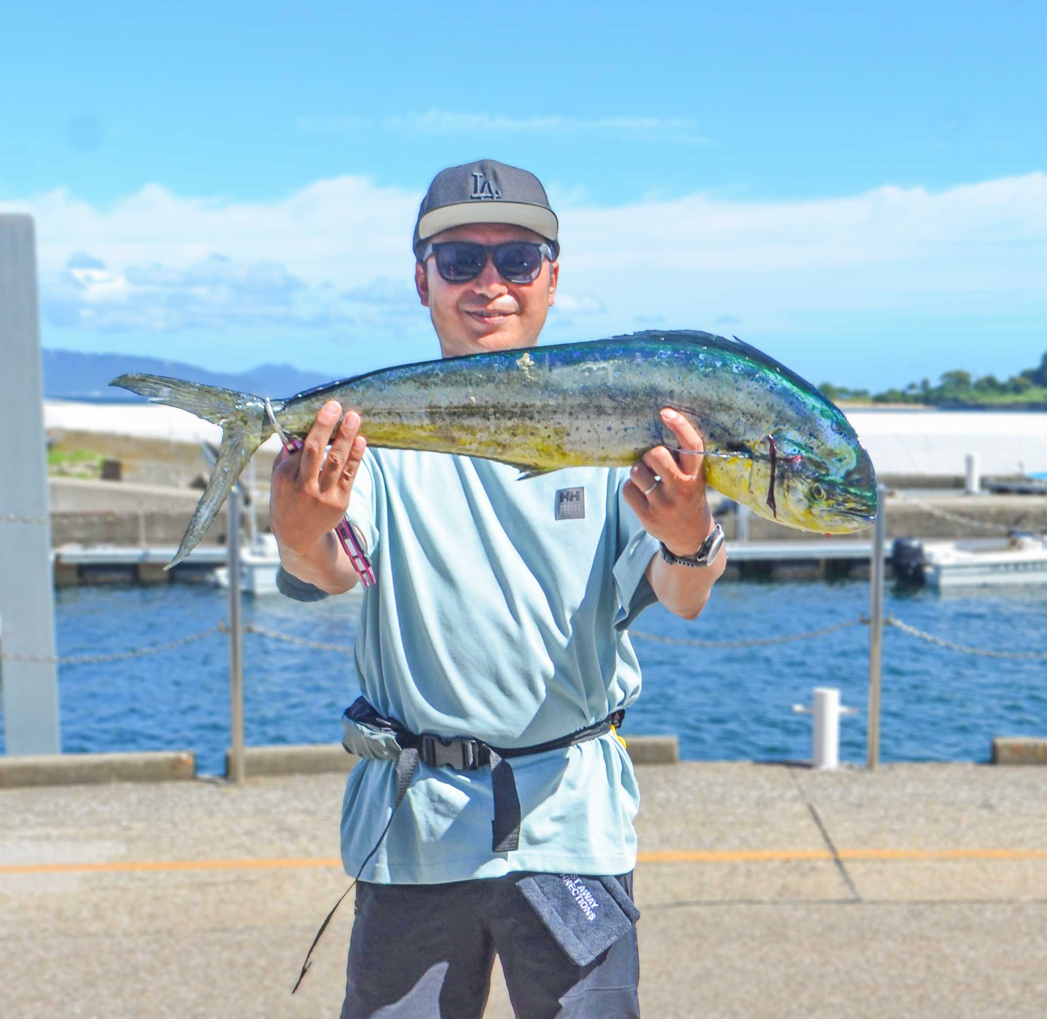 ✿シイラ・サワラ・マゴチ・ソウダガツオ・カンパチ・クロムツ✿