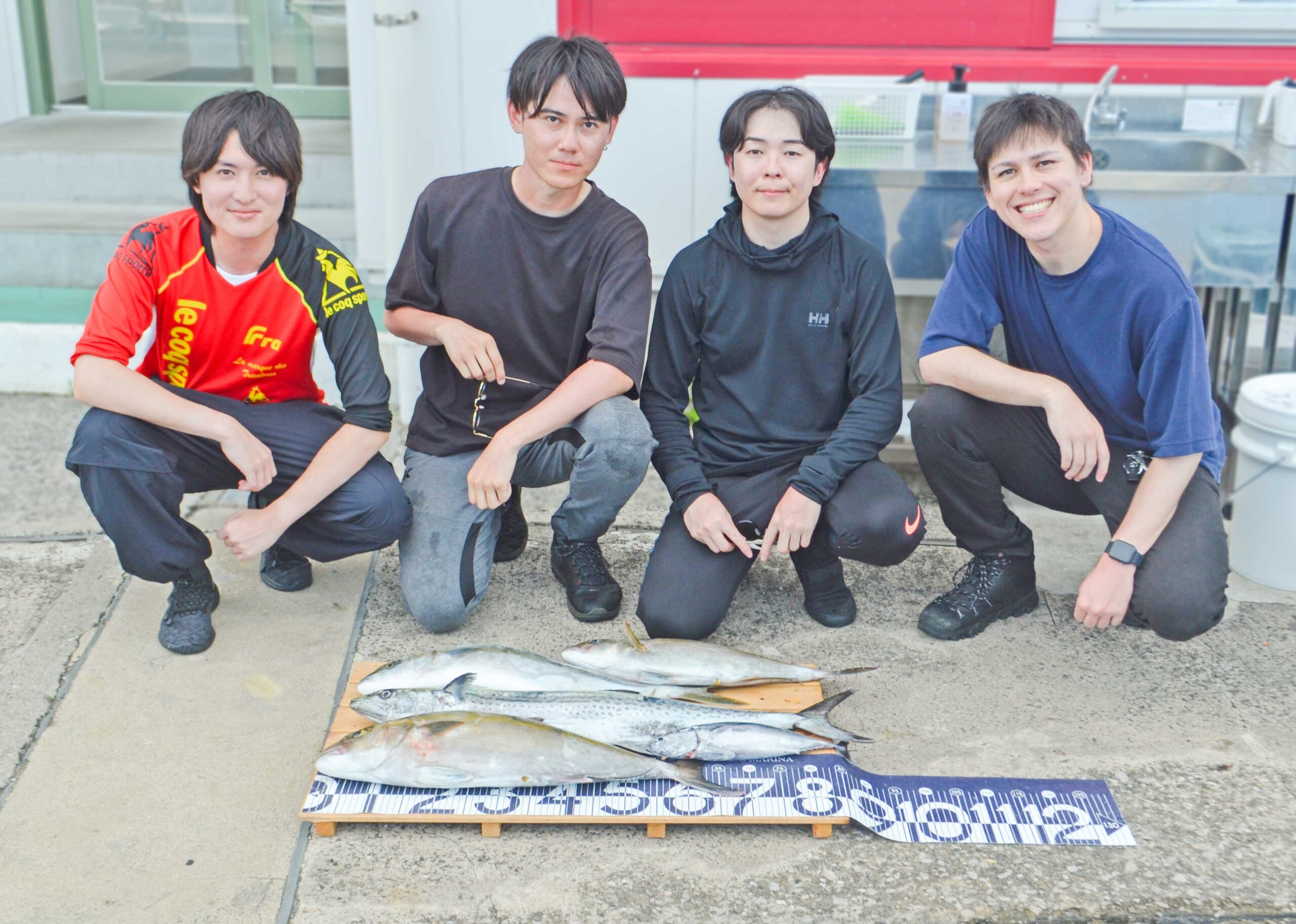 ✿カンパチ・ワラサ・サワラ・ソウダガツオ✿