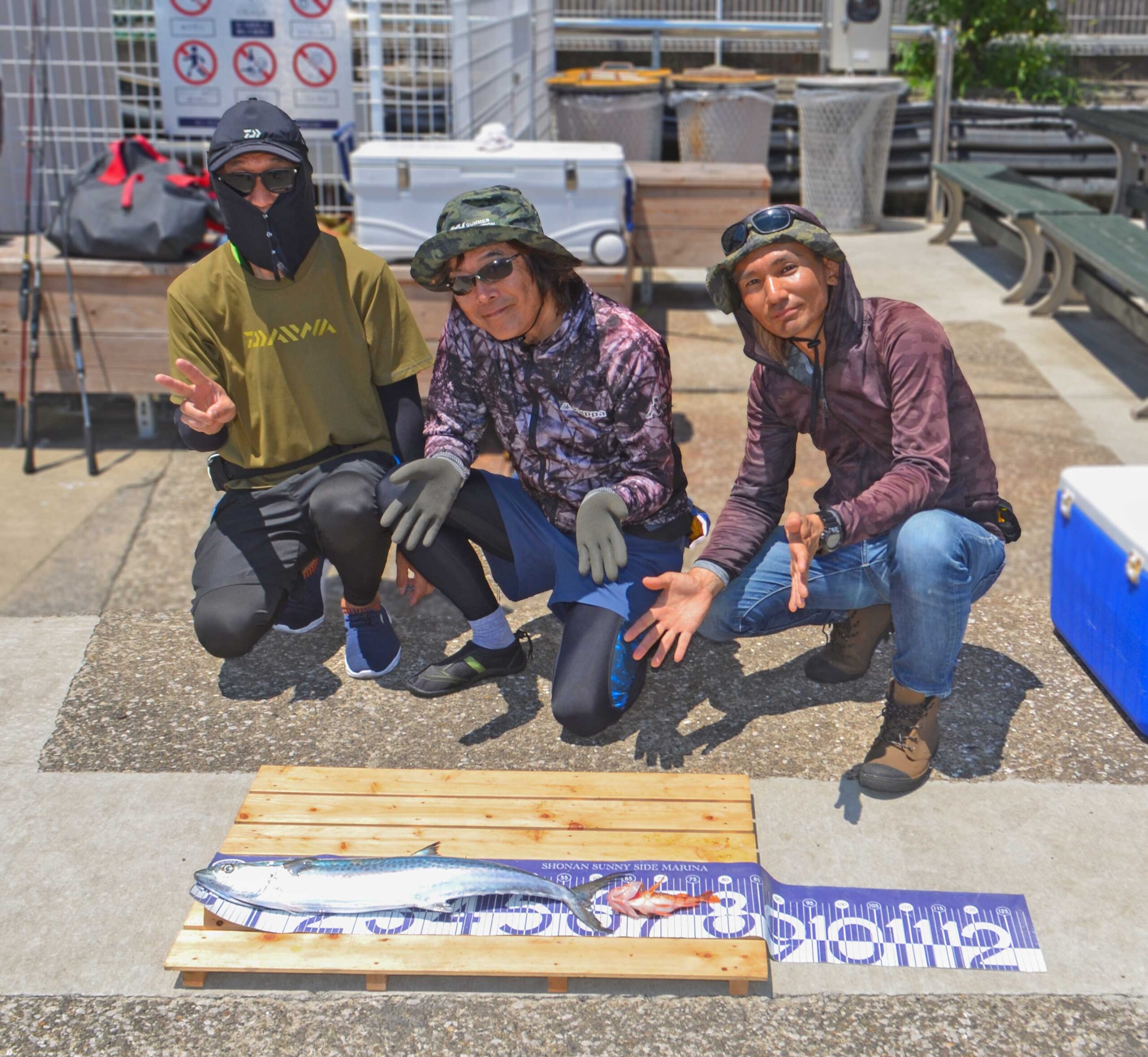 ✿サワラ・カサゴ✿