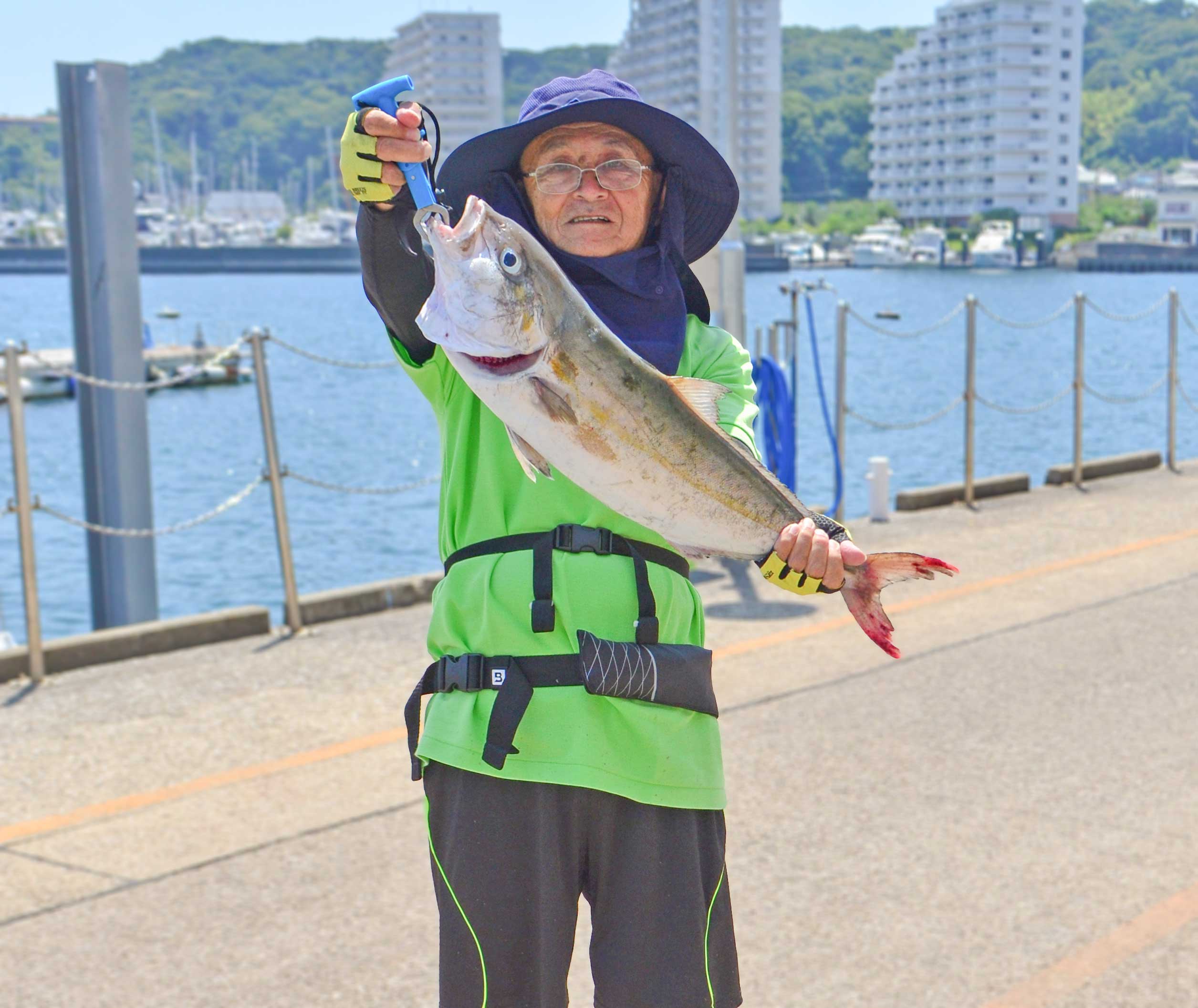 ✿カンパチ・ホウボウ・ソウダガツオ✿