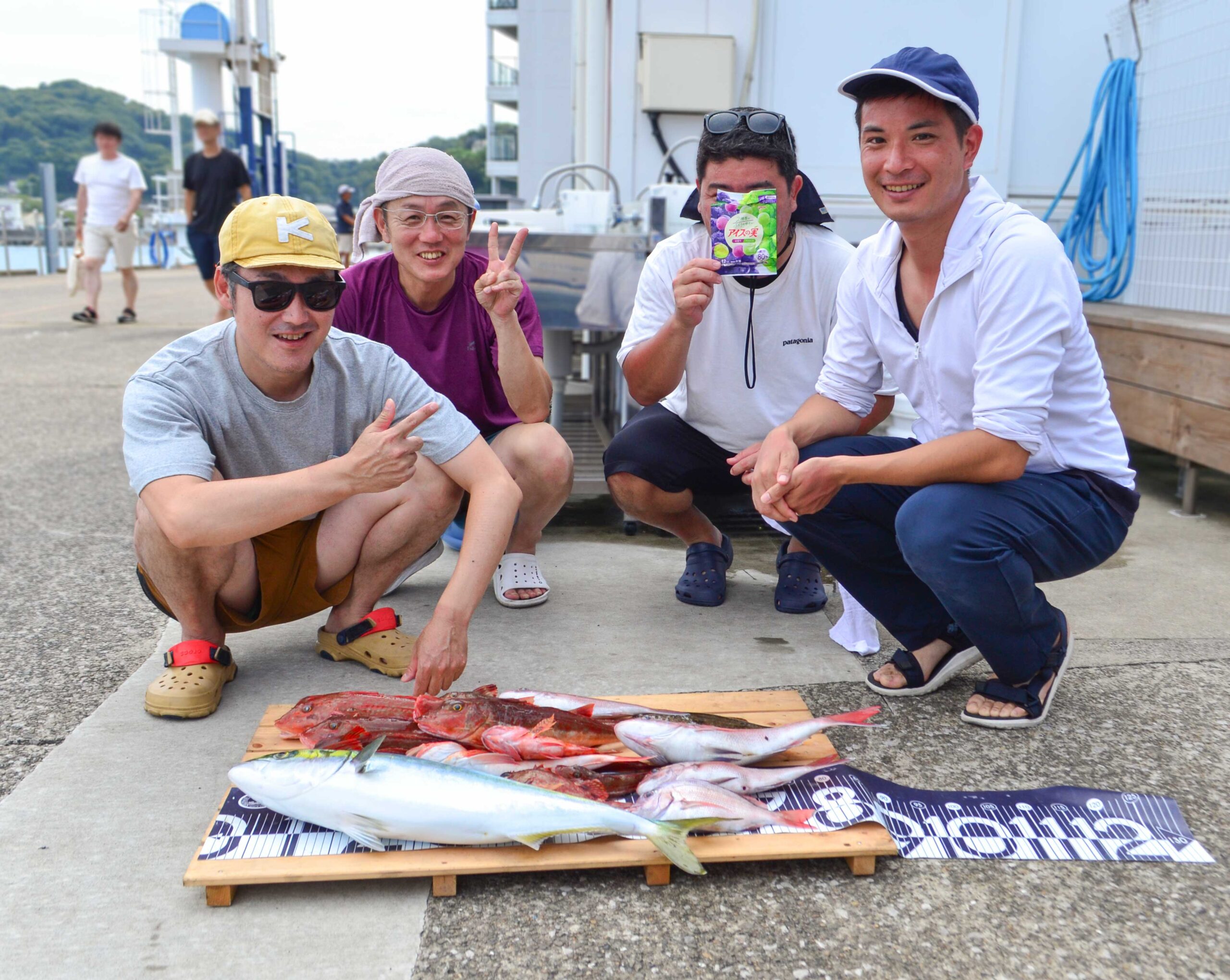 ✿ワラサ・ホウボウ・マダイ・カサゴ・ヒラメ✿