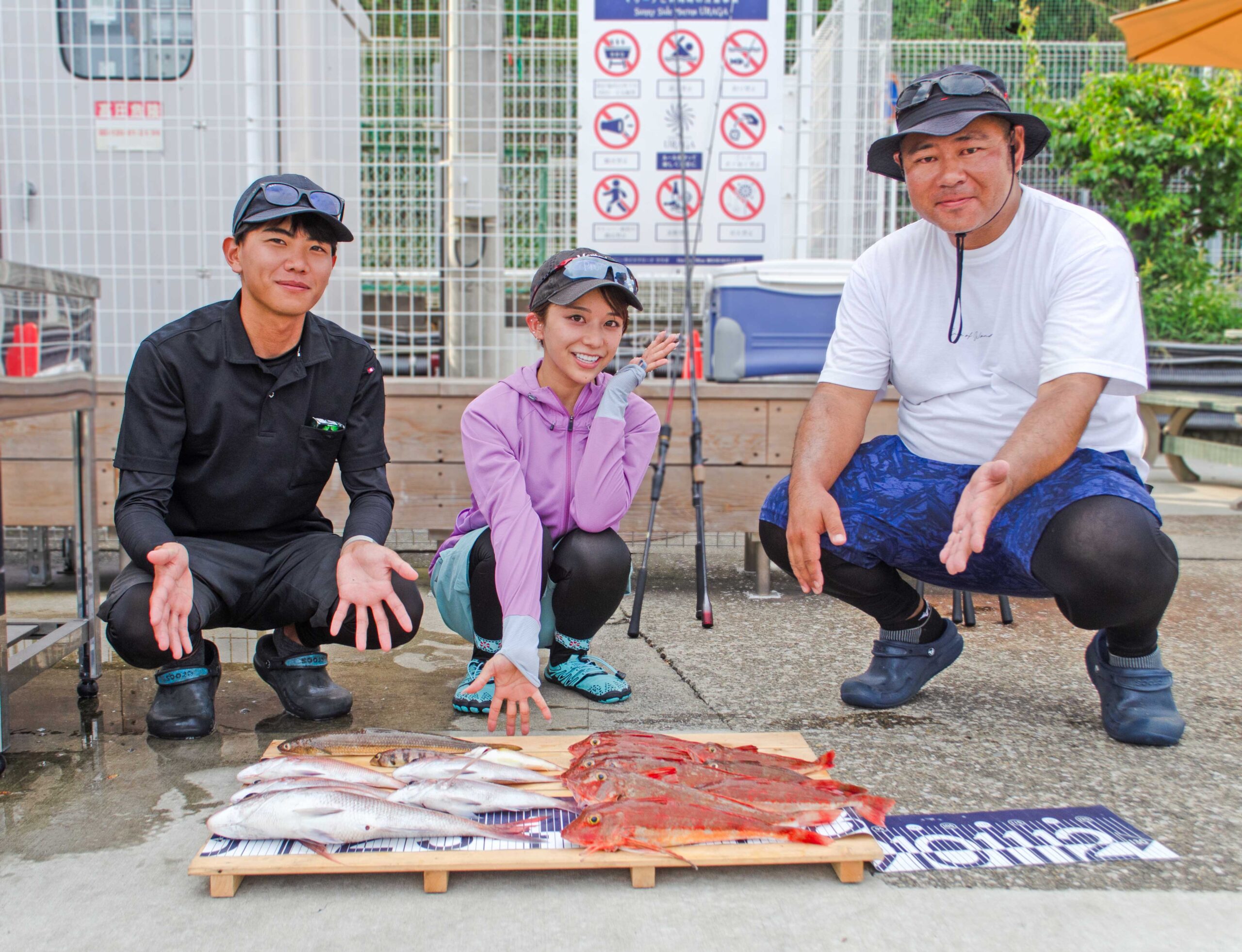 ✿マダイ・ホウボウ・エソ・トラギス・タマガシラ✿