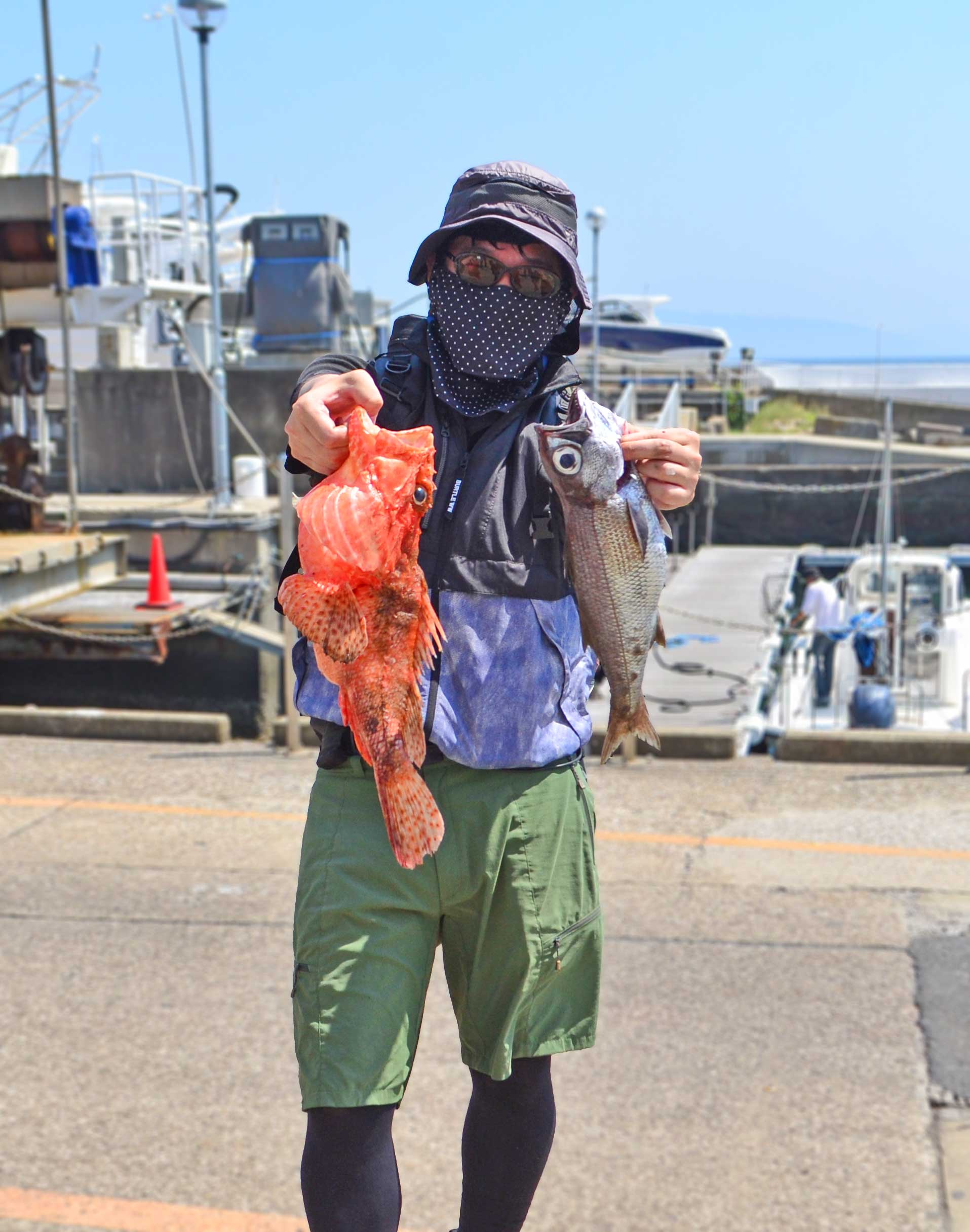 ✿オニカサゴ・クロムツ・アカイカ✿