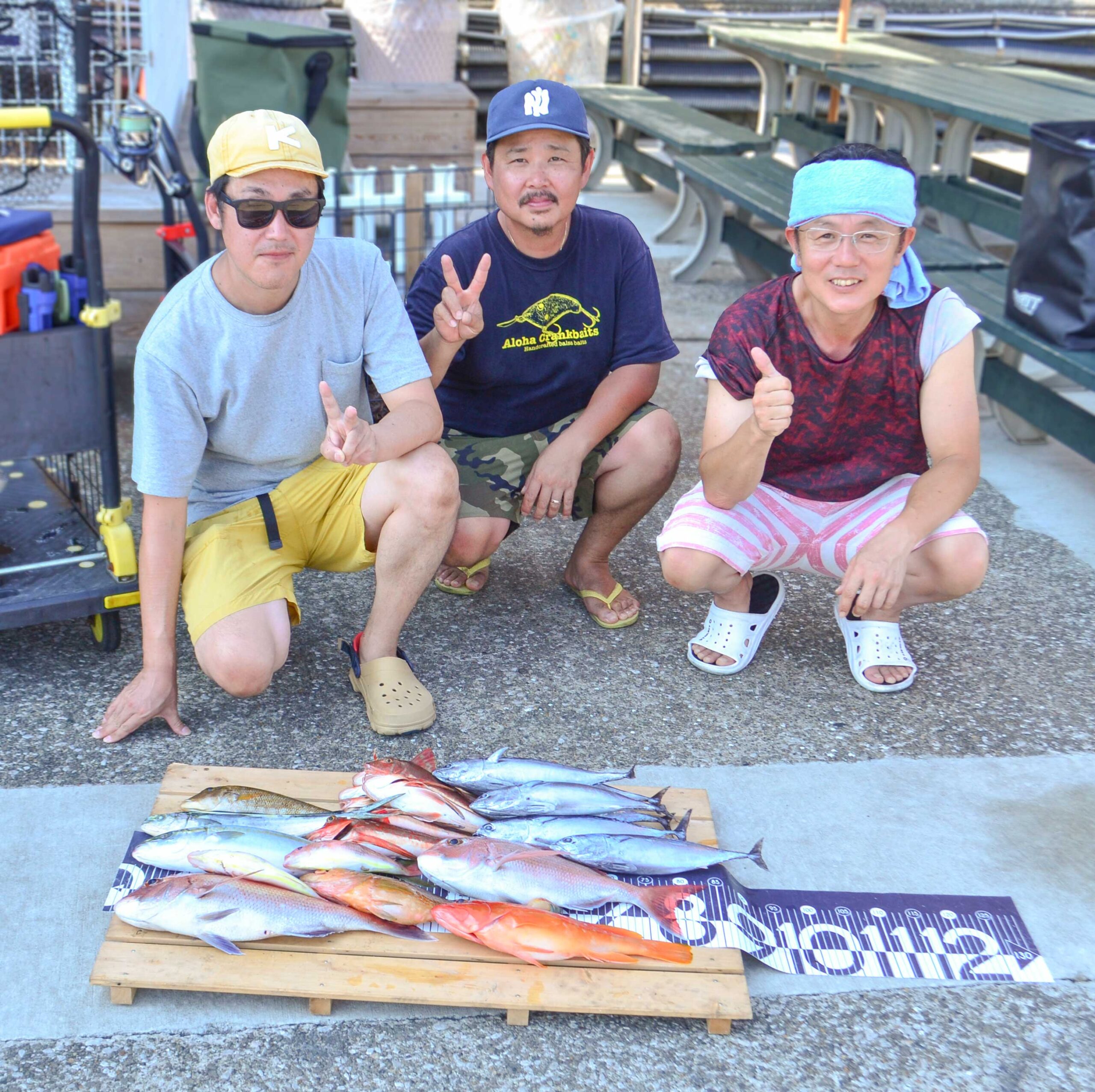 ✿マダイ・フエフキダイ・シイラ・イナダ・キジハタ・アカハタ・ホウボウ・ソコイトヨリ・マルソウダ✿