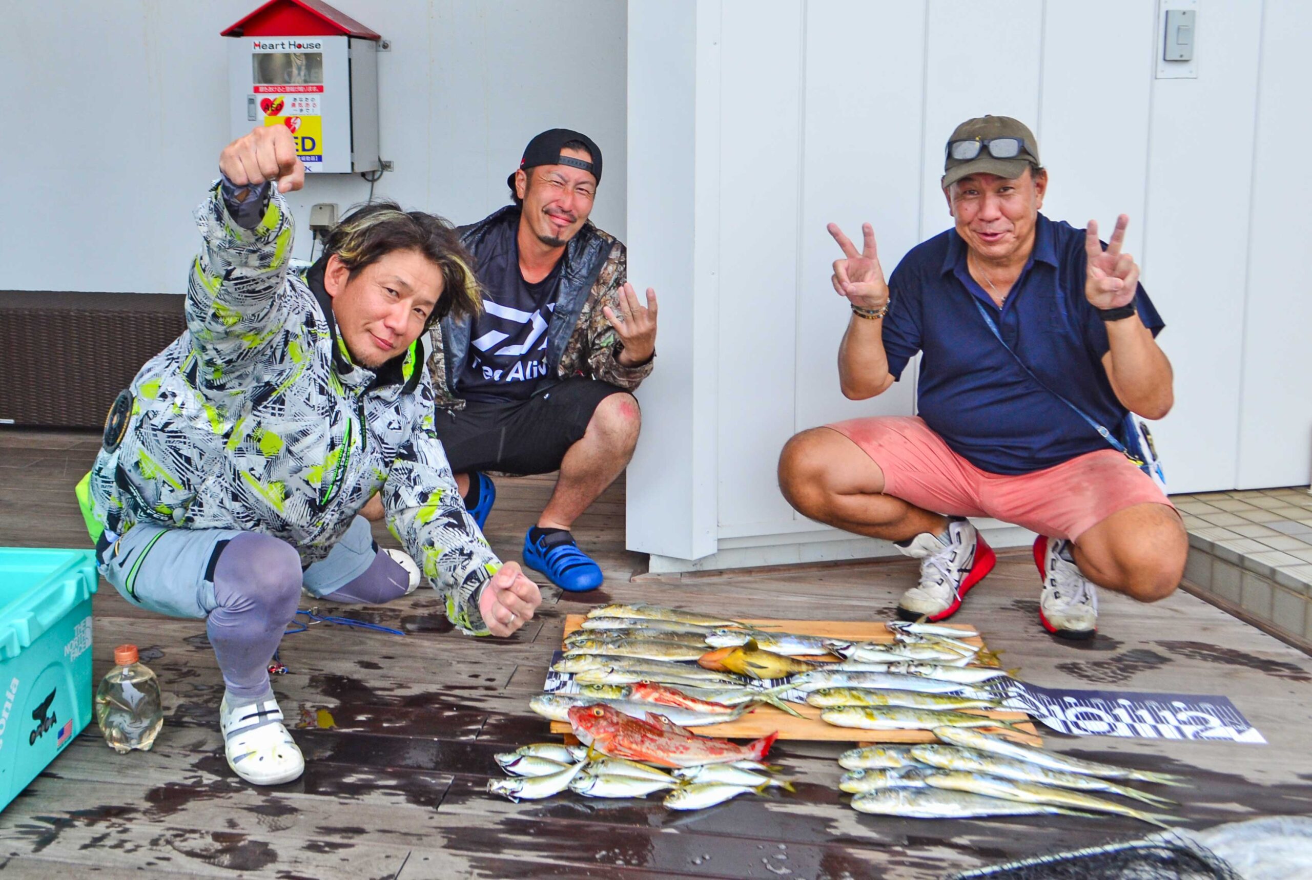 ✿シイラ・アジ・アオハタ・ホウボウ✿