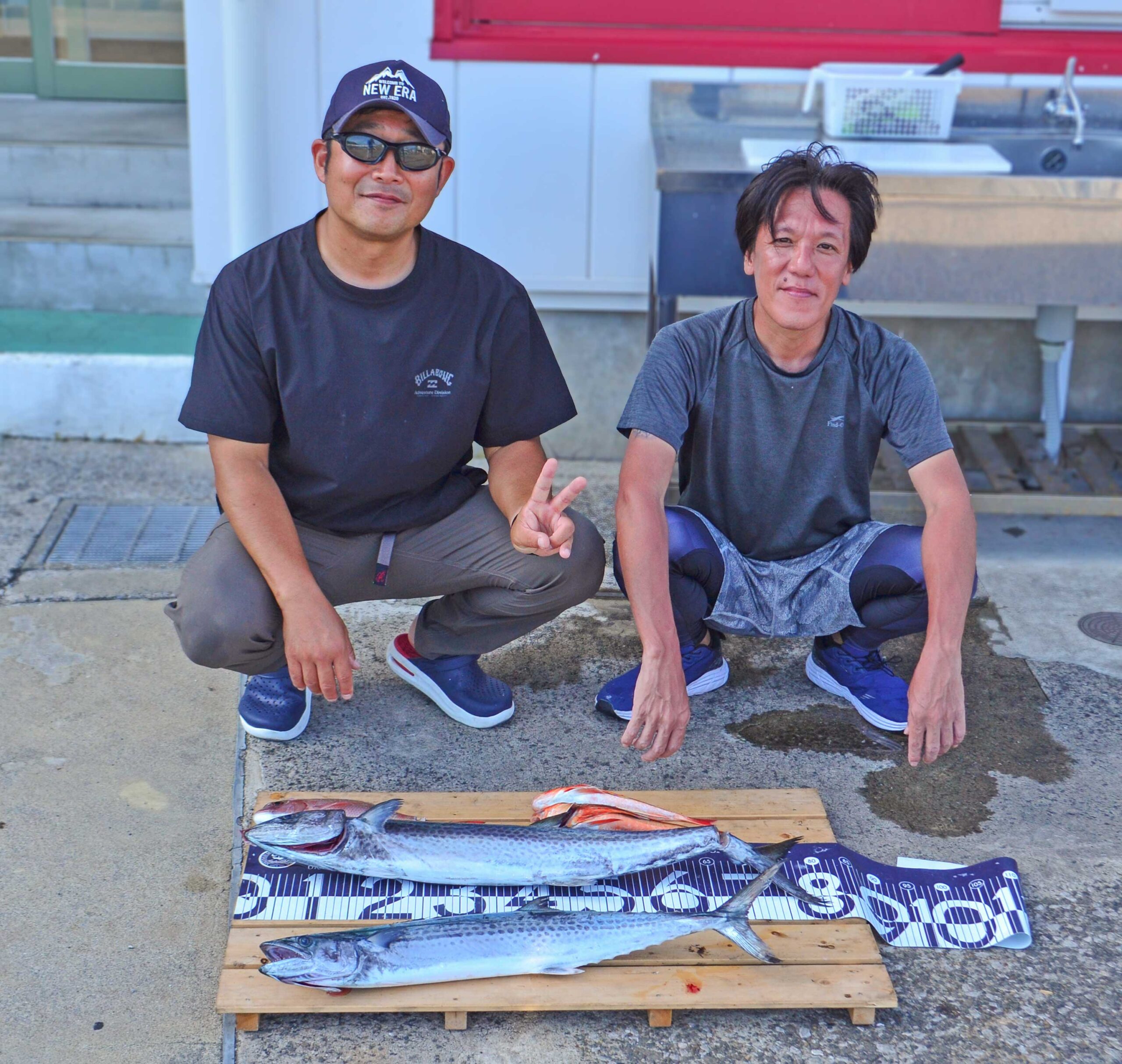 ✿サワラ・マダイ・ホウボウ✿