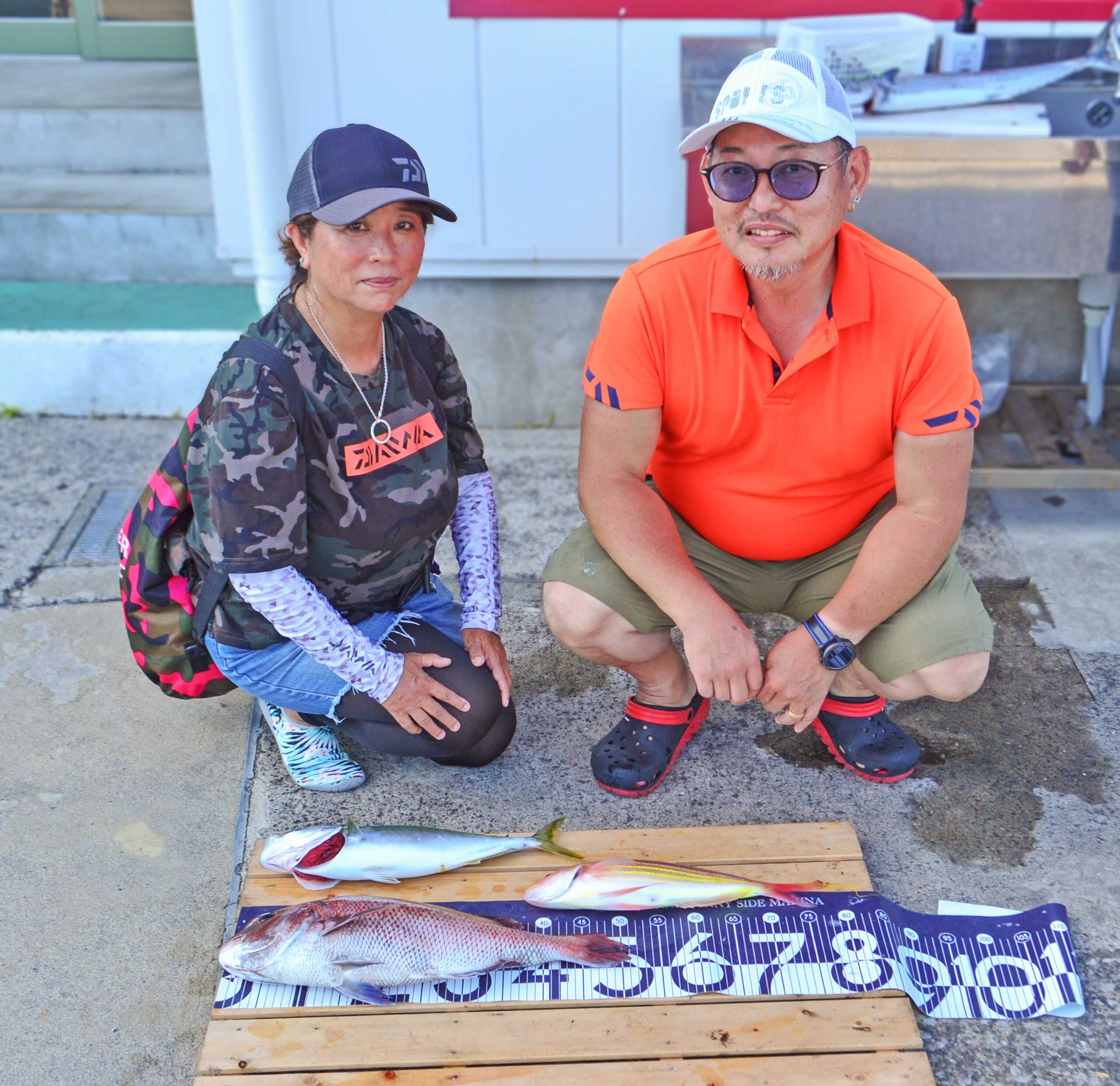 ✿マダイ・イナダ・イトヨリダイ✿