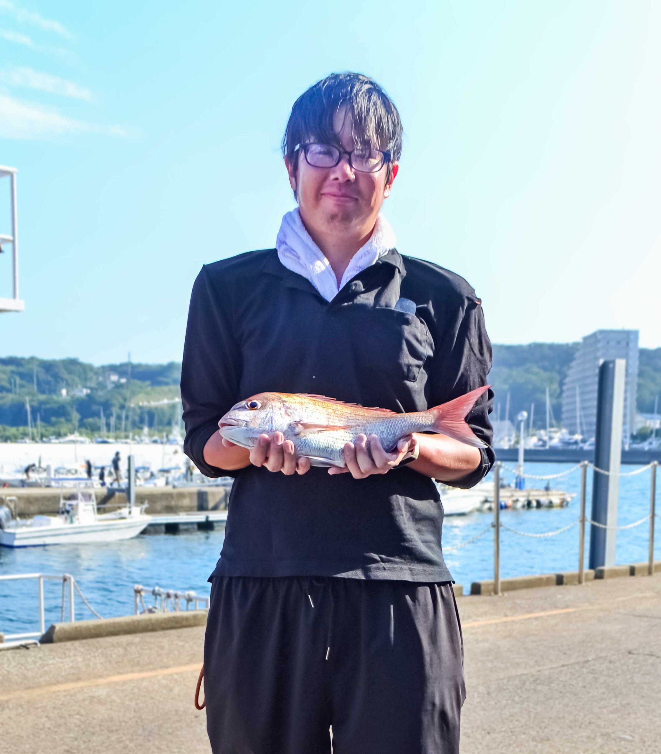 ✿マダイ・ホウボウ✿