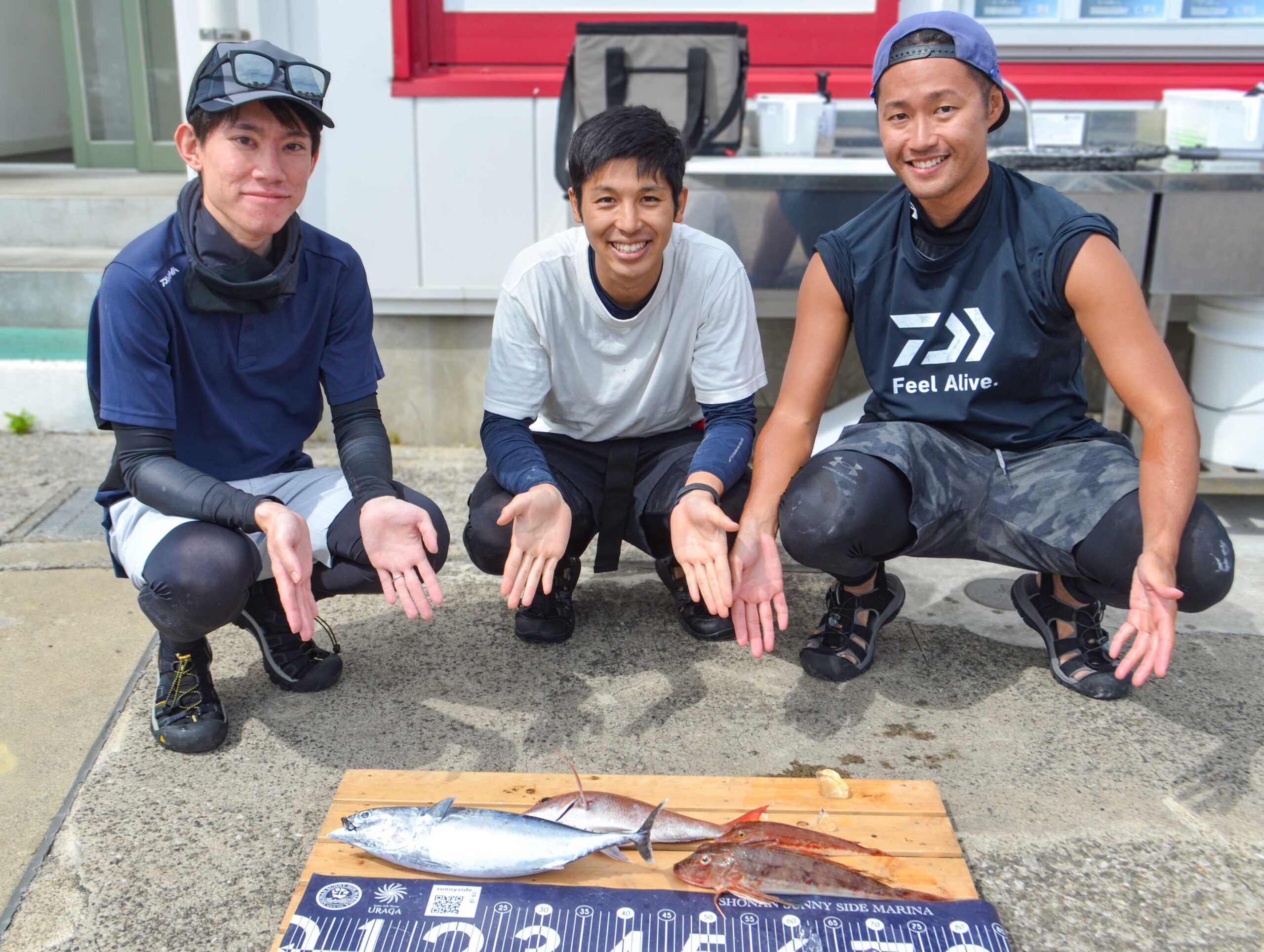 ✿マダイ・ソウダガツオ・ホウボウ✿