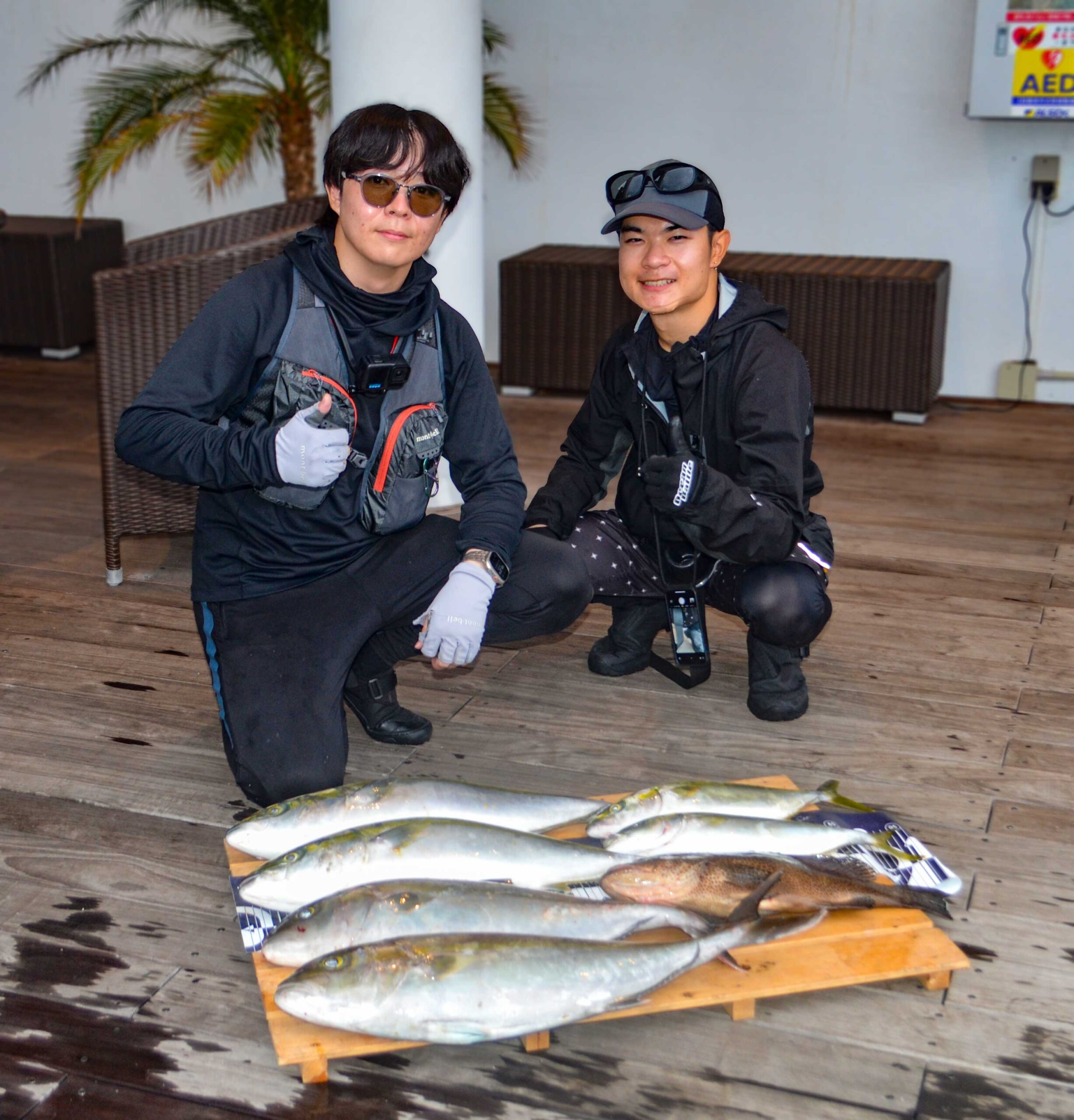 ✿カンパチ・ワラサ・イナダ・オオモンハタ✿
