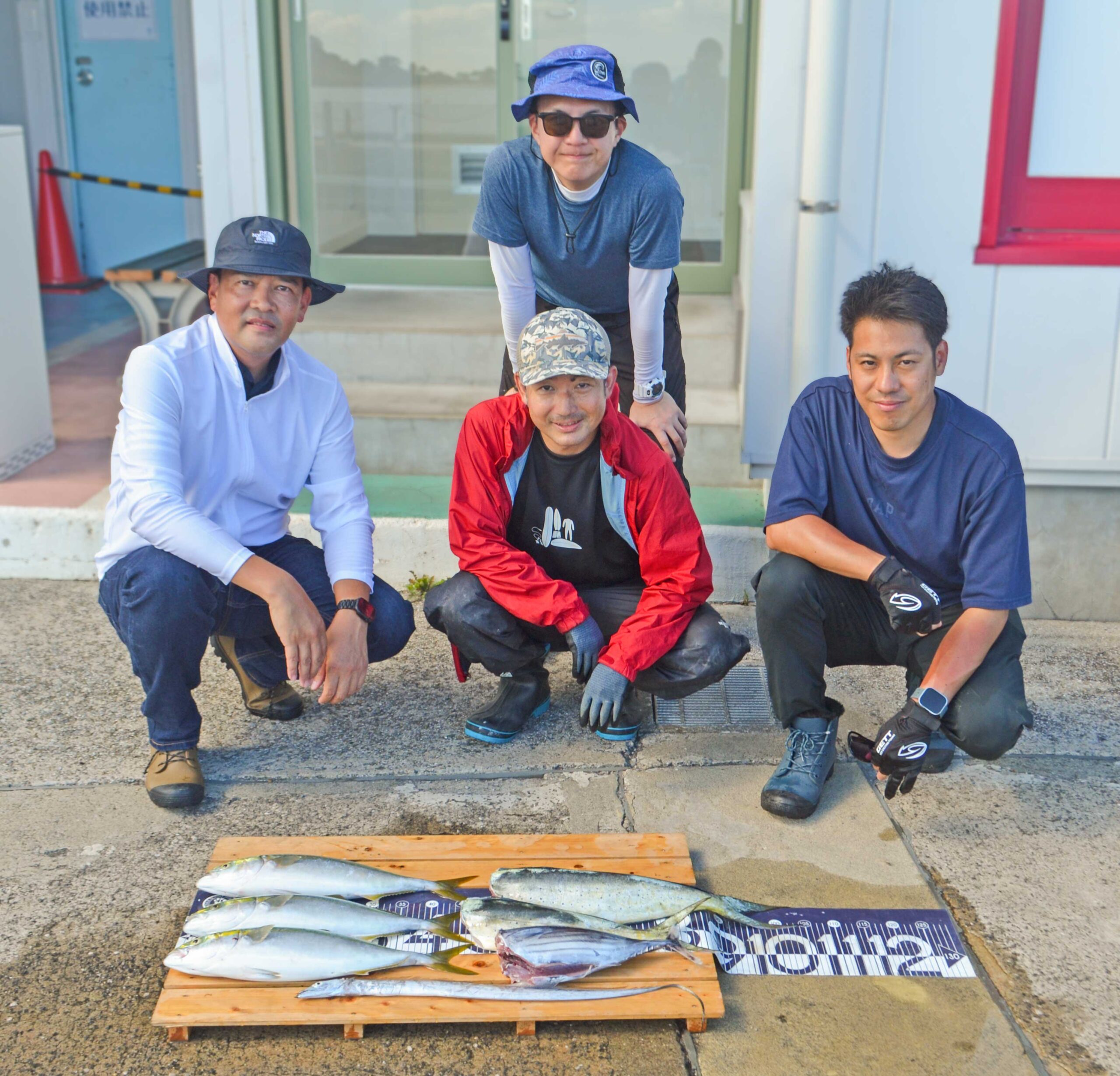 ✿イナダ・シイラ・カツオ・タチウオ✿