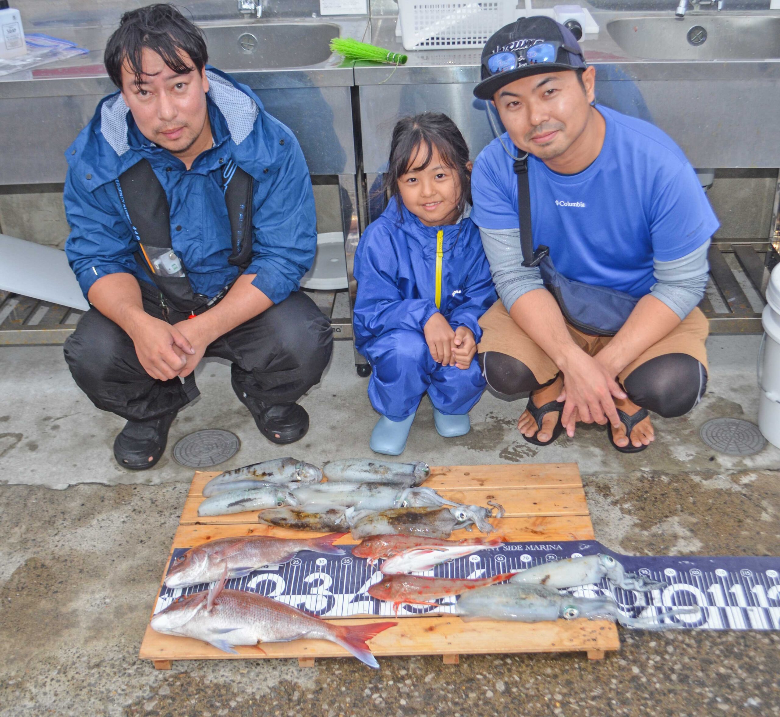 ✿マダイ・アオリイカ・ホウボウ✿