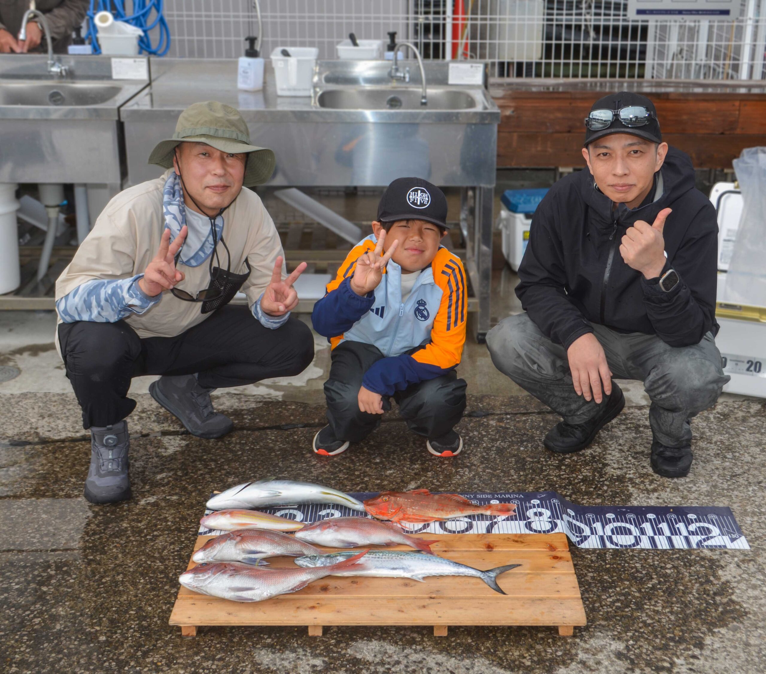 ✿マダイ・イナダ・サゴシ・イトヨリダイ・ホウボウ✿