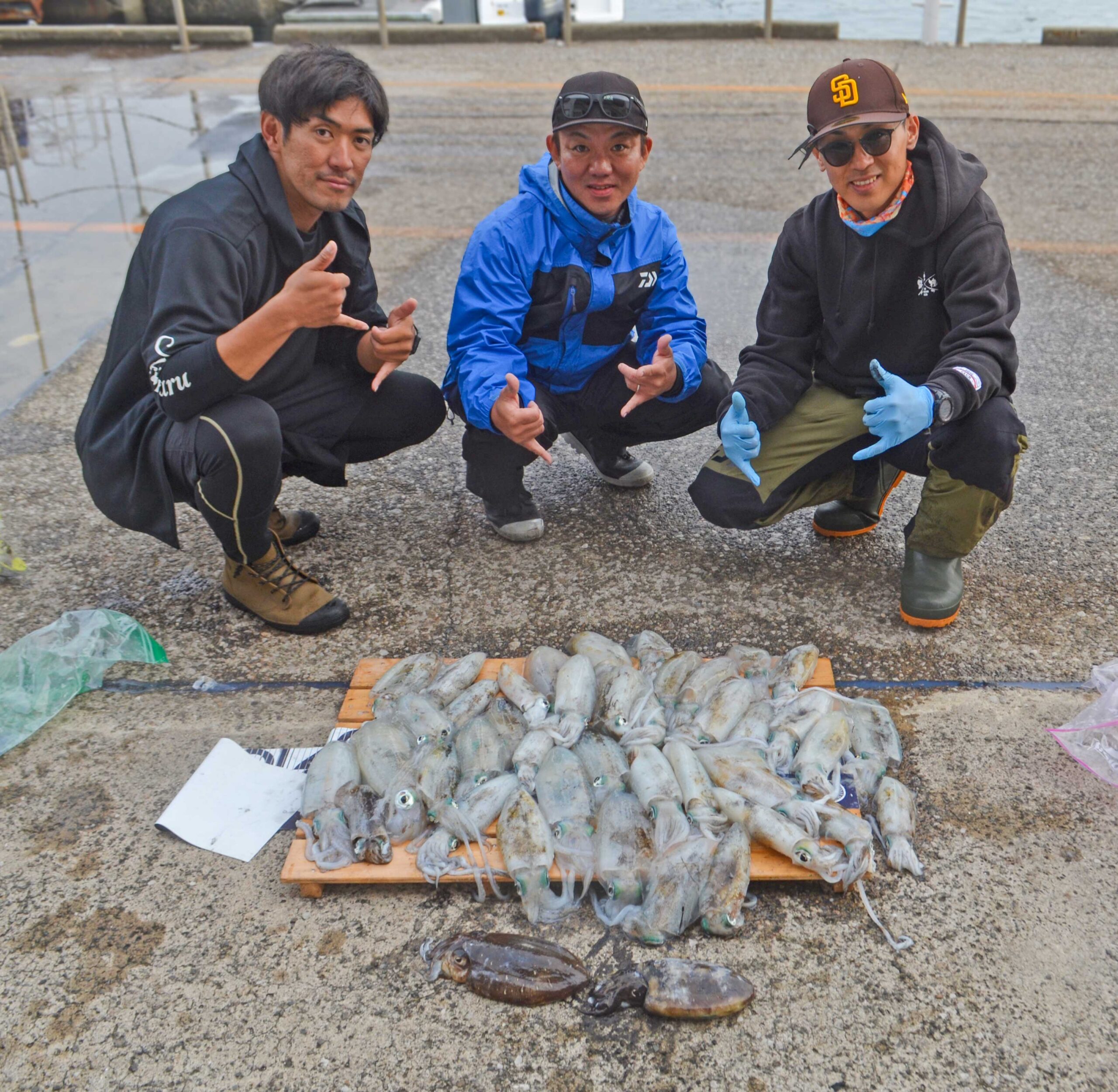 ✿アオリイカ・スミイカ✿