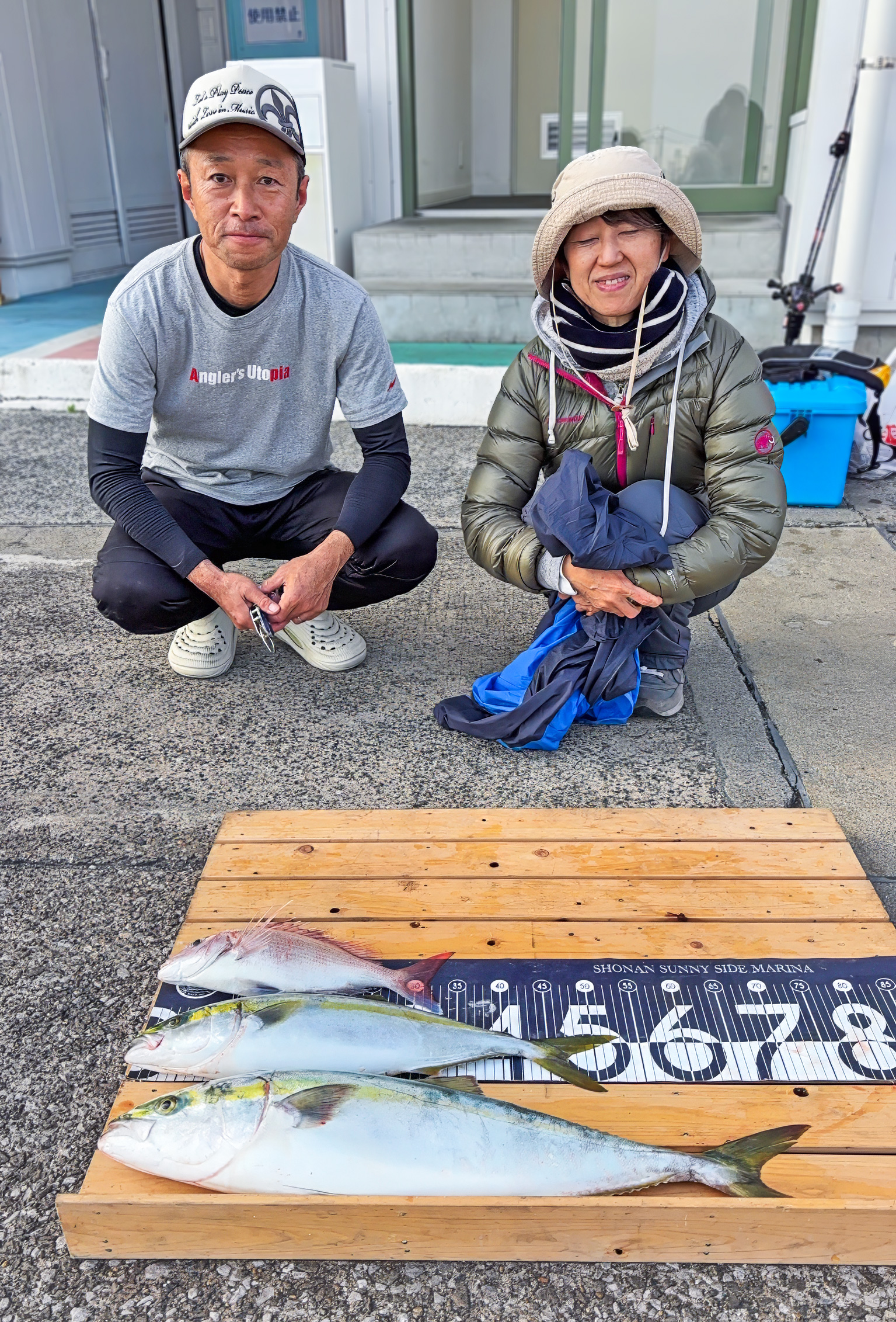 ✿ワラサ・イナダ・マダイ✿