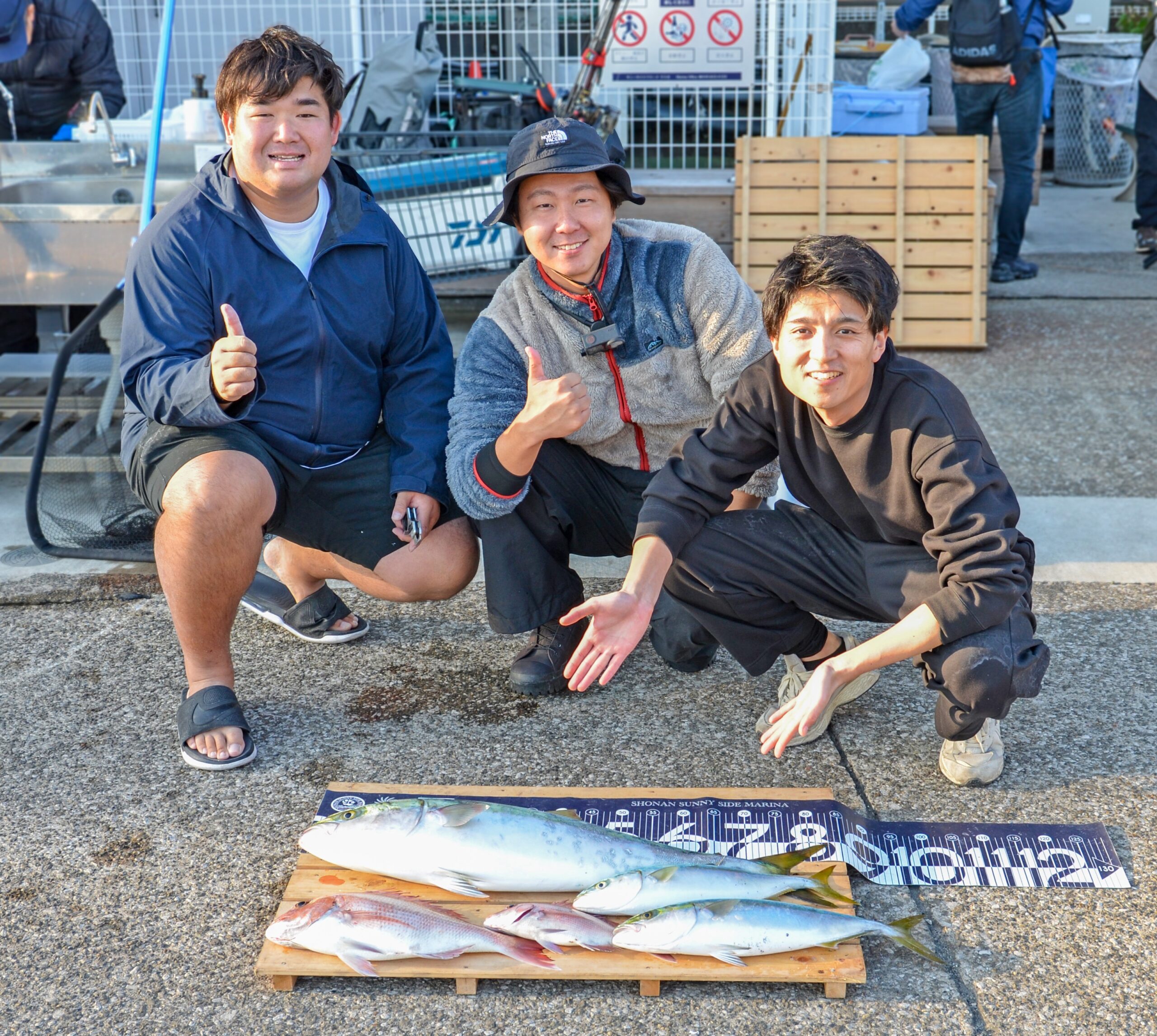 ✿ブリ・イナダ・マダイ✿