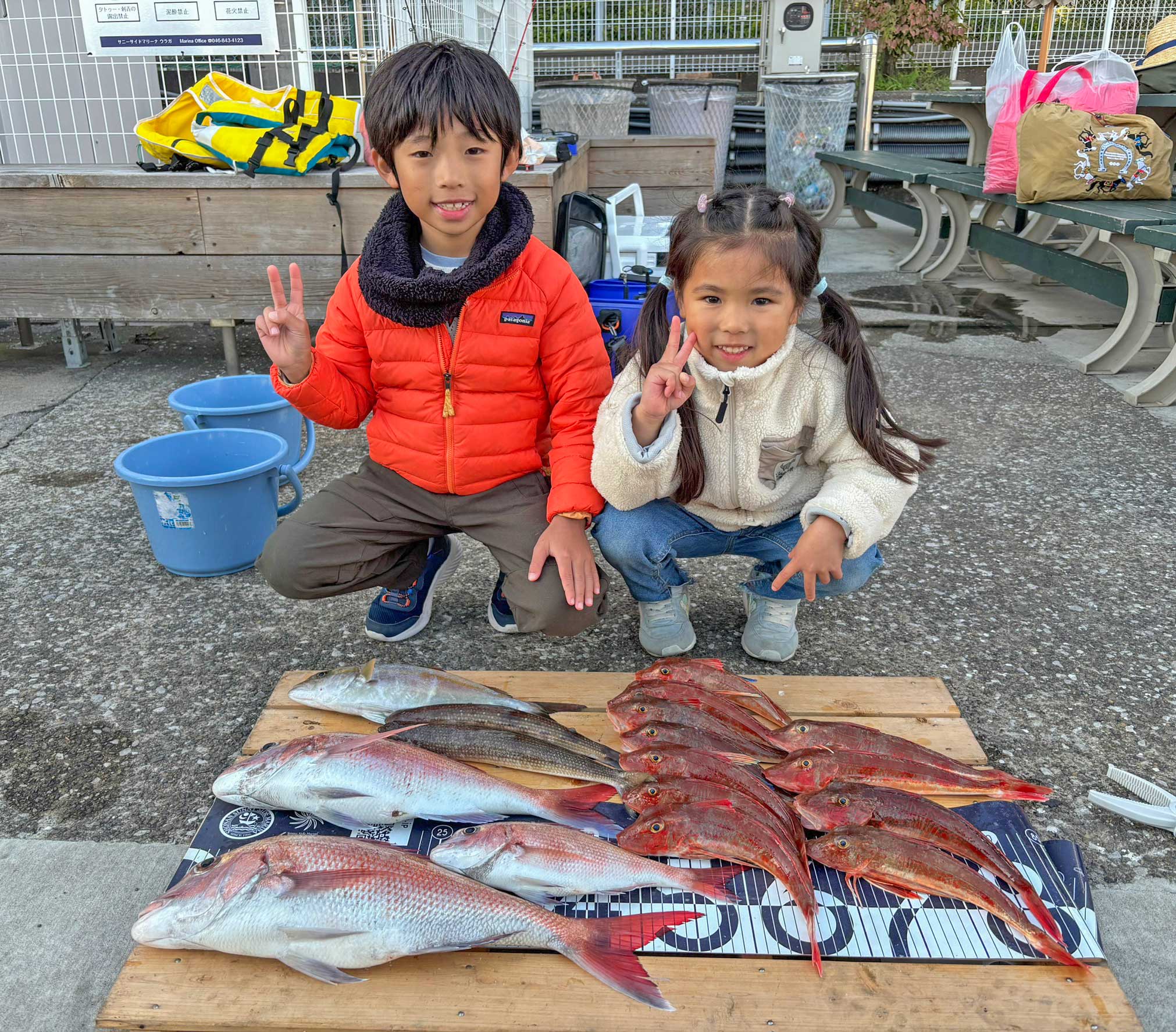 ✿マダイ・ホウボウ・ショゴ・エソ✿