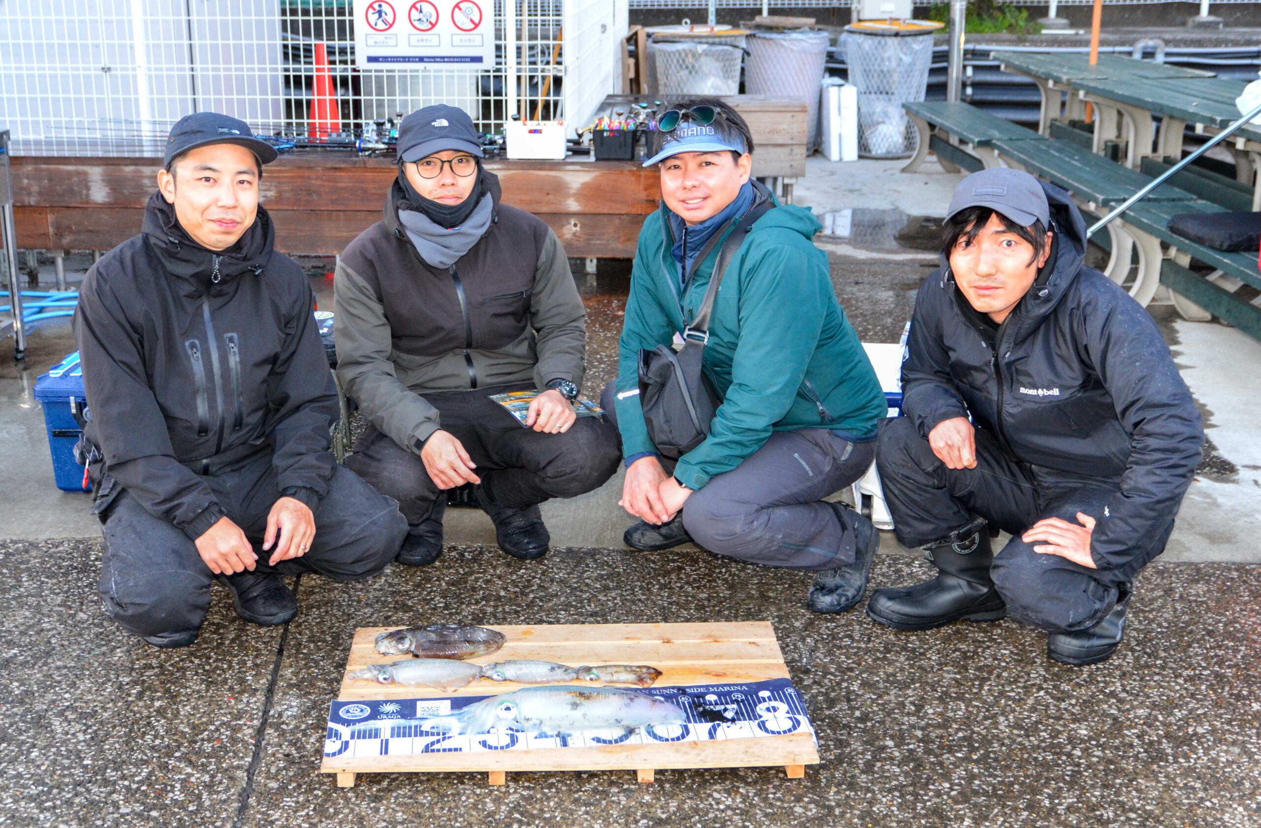 ✿アオリイカ・モンゴウイカ✿