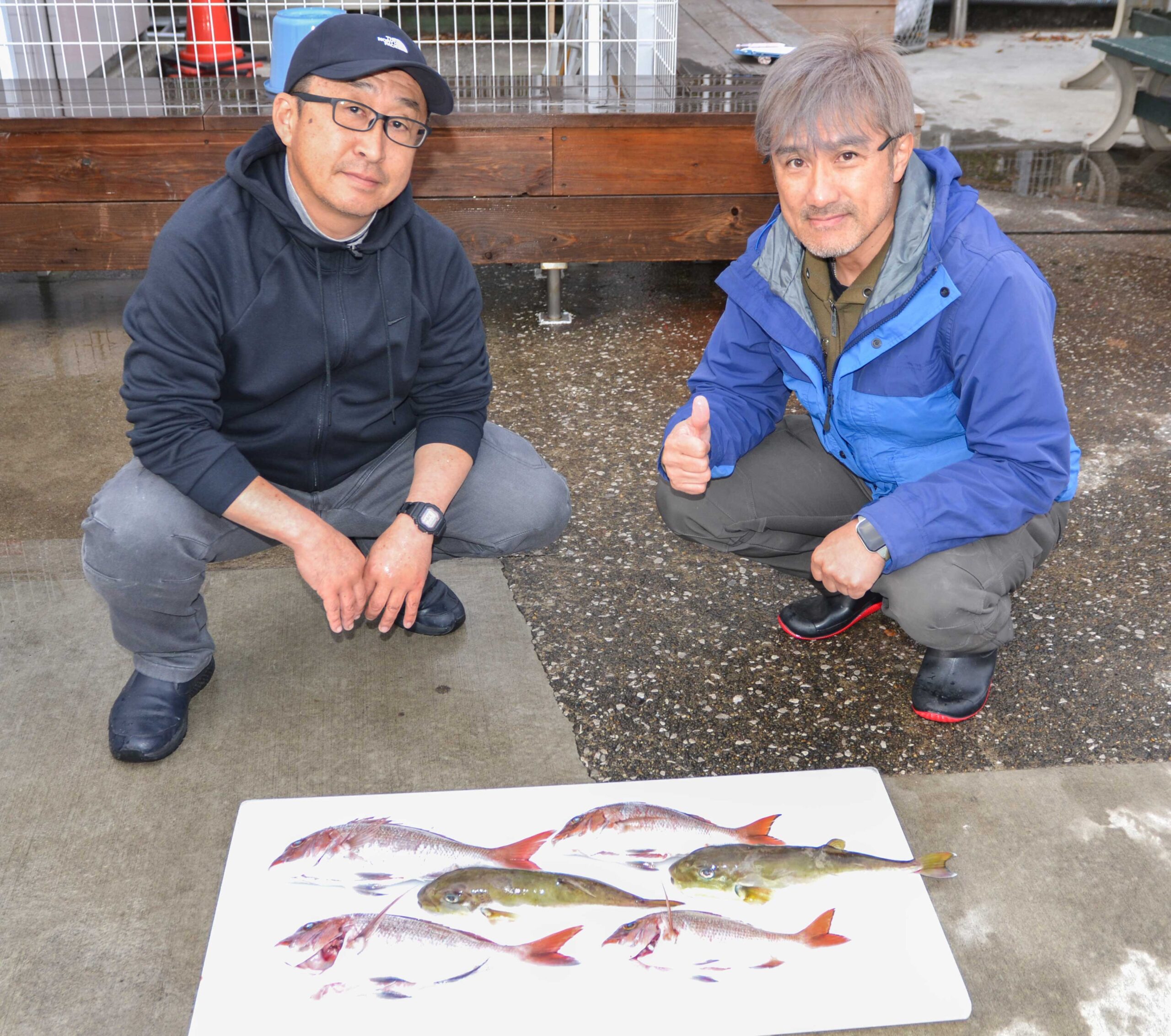 ✿マダイ・サバフグ✿