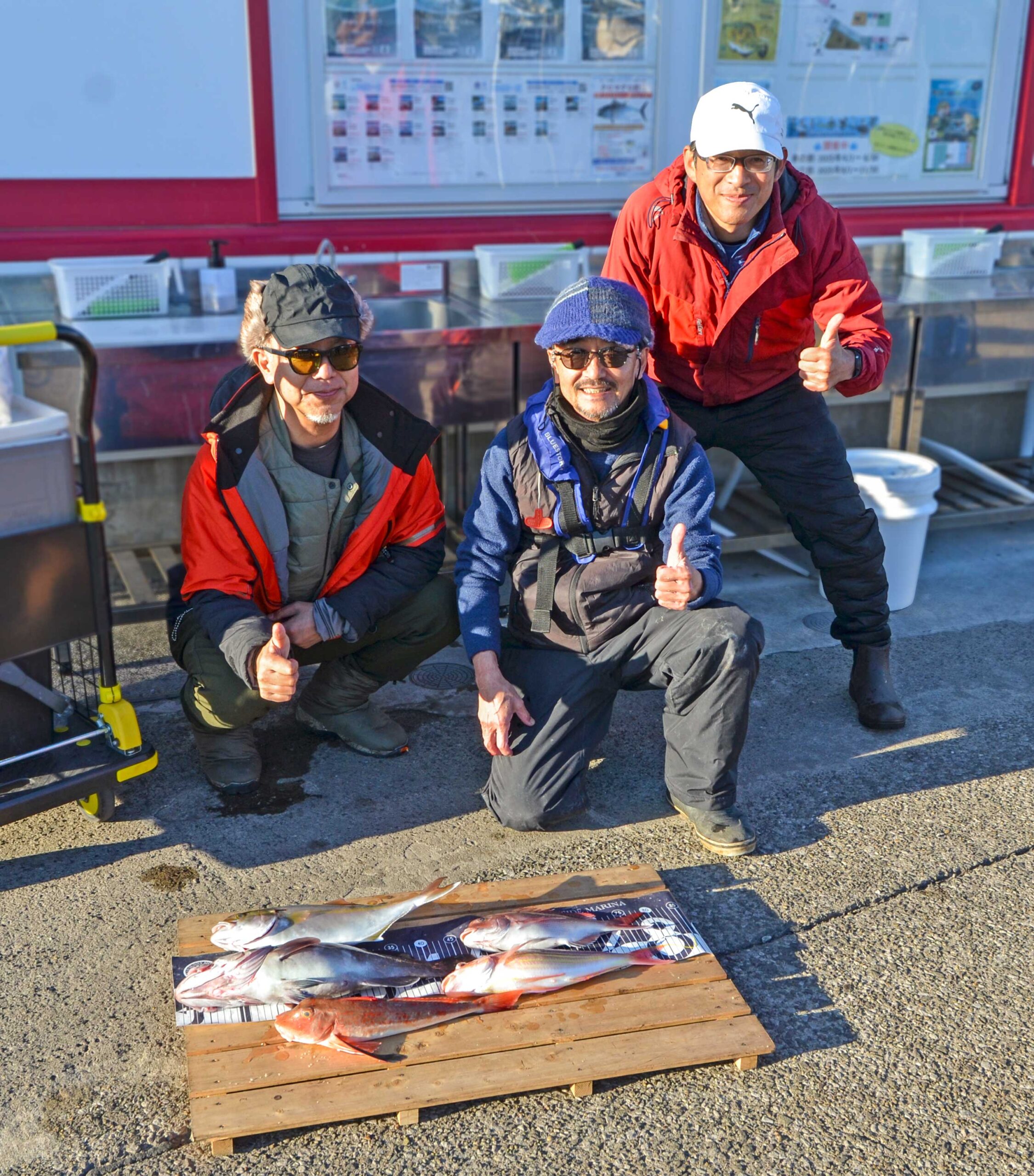 ✿ショゴ・マハタ・マダイ・ホウボウ・イトヨリダイ✿