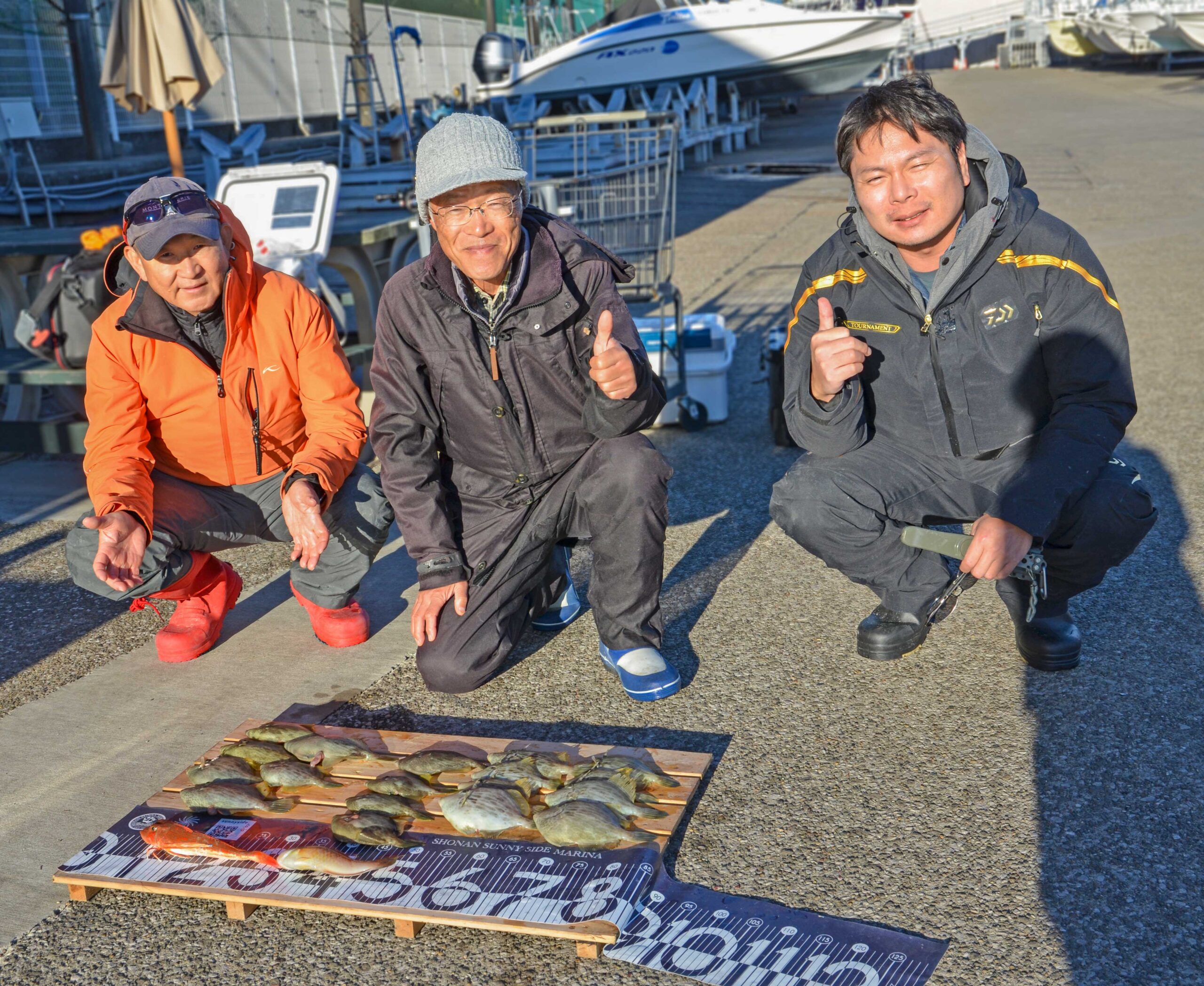 ✿カワハギ・ホウボウ・ベラ✿