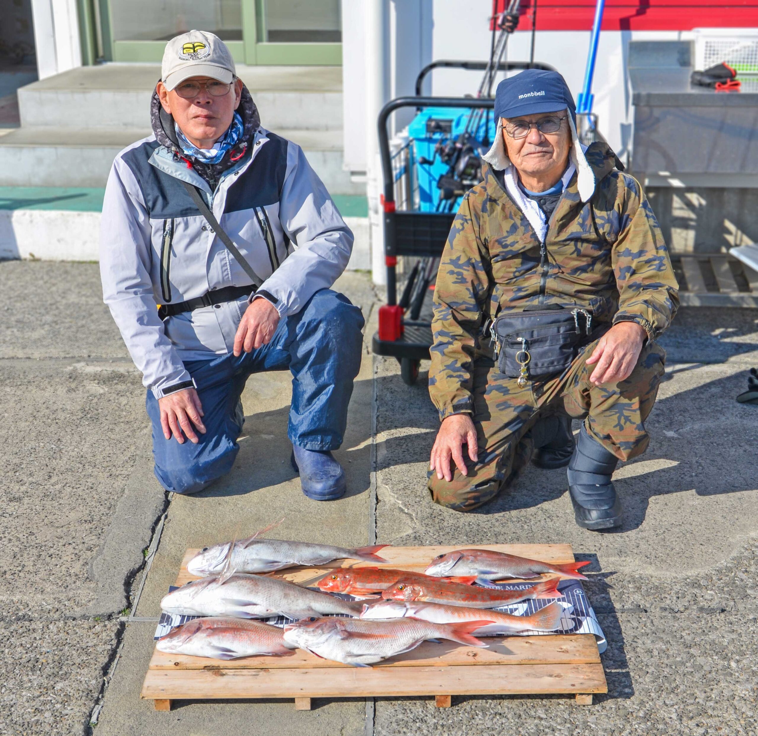 ✿マダイ・シロアマダイ・ホウボウ✿