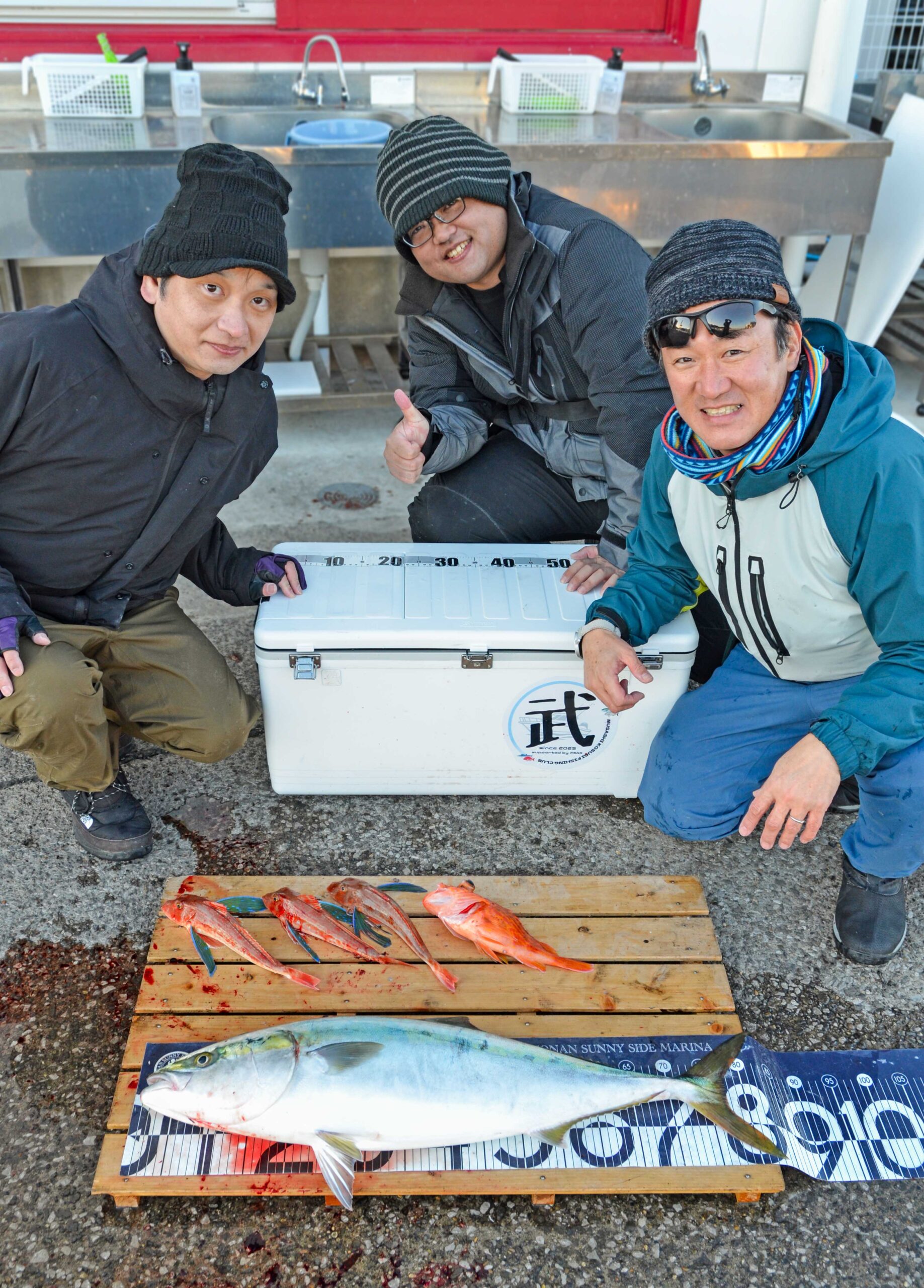 ✿ブリ・ホウボウ・アヤメカサゴ✿
