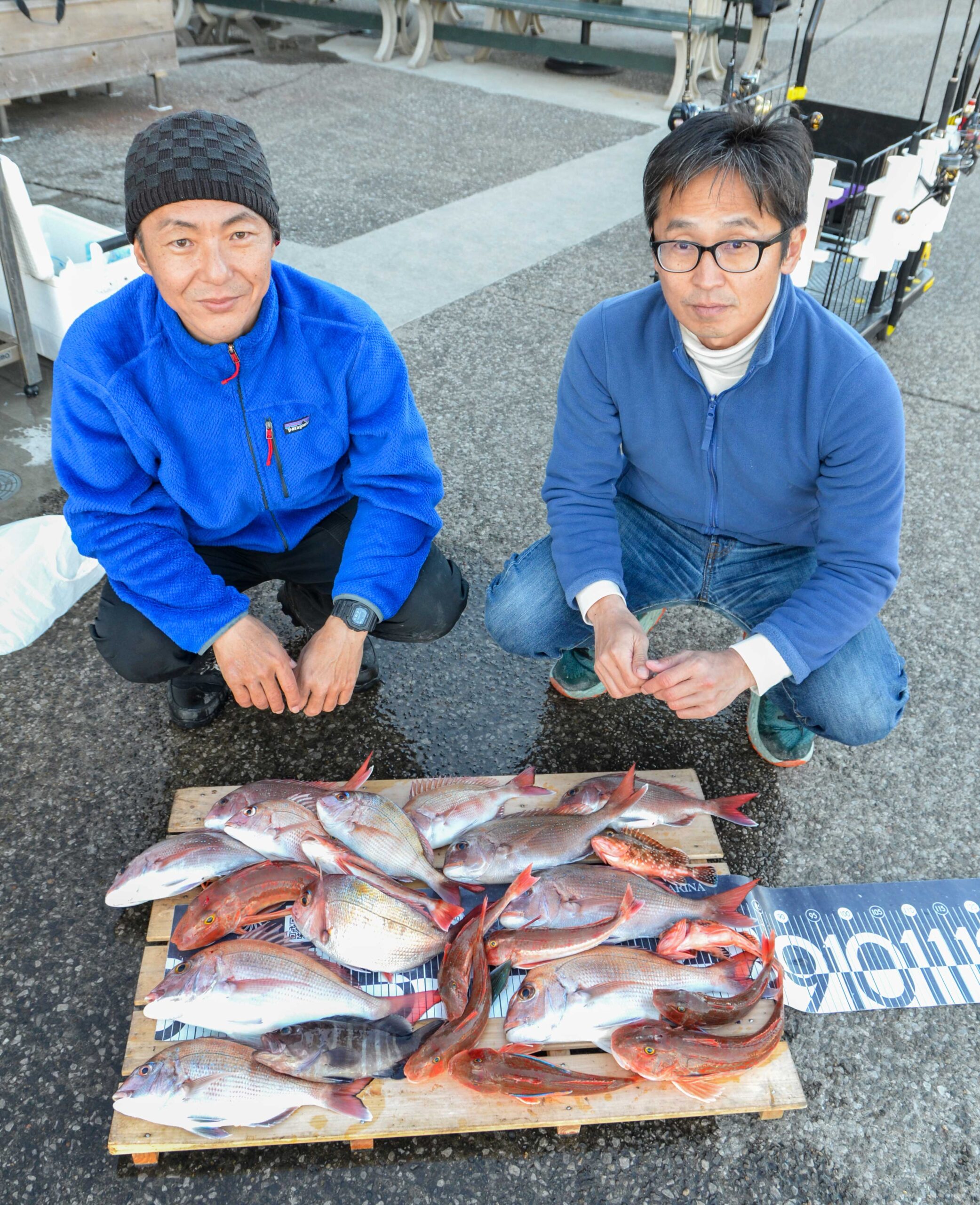 ✿マダイ・ホウボウ・マハタ・ウッカリカサゴ✿