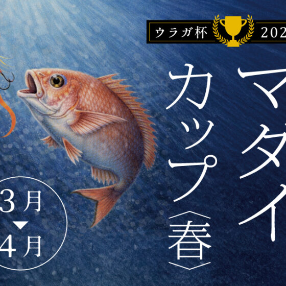 “のっこみ”シーズン到来😍「マダイカップ🏆2026春」開催