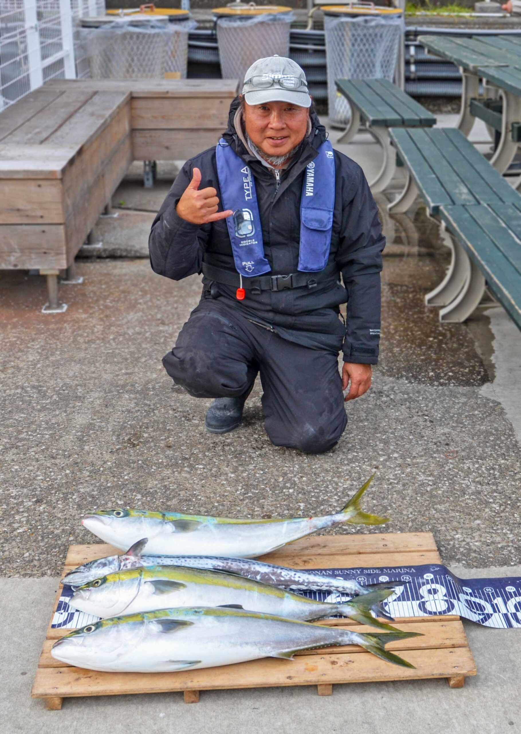 ✿ワラサ・サワラ✿