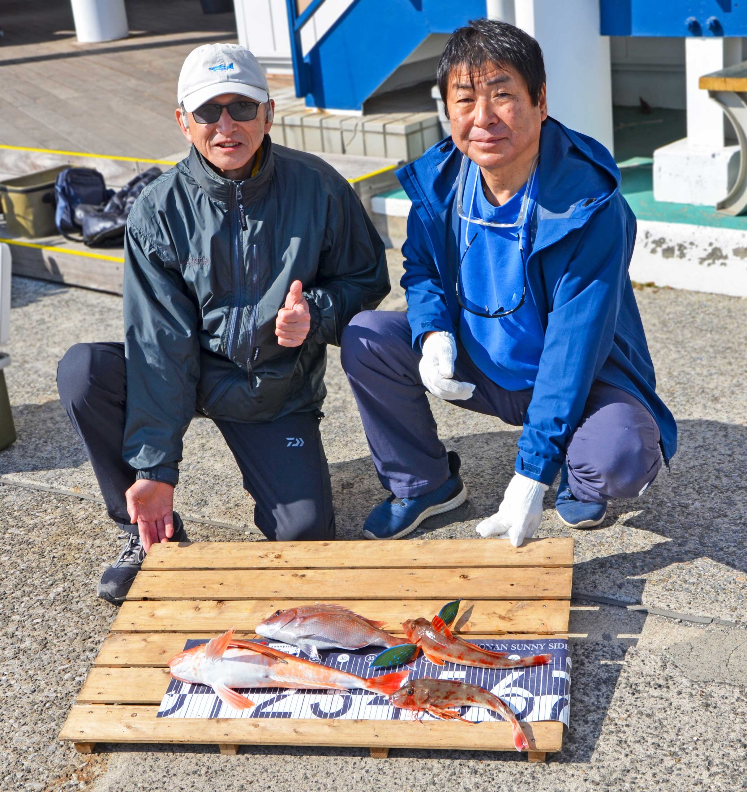 ✿マダイ・ホウボウ✿