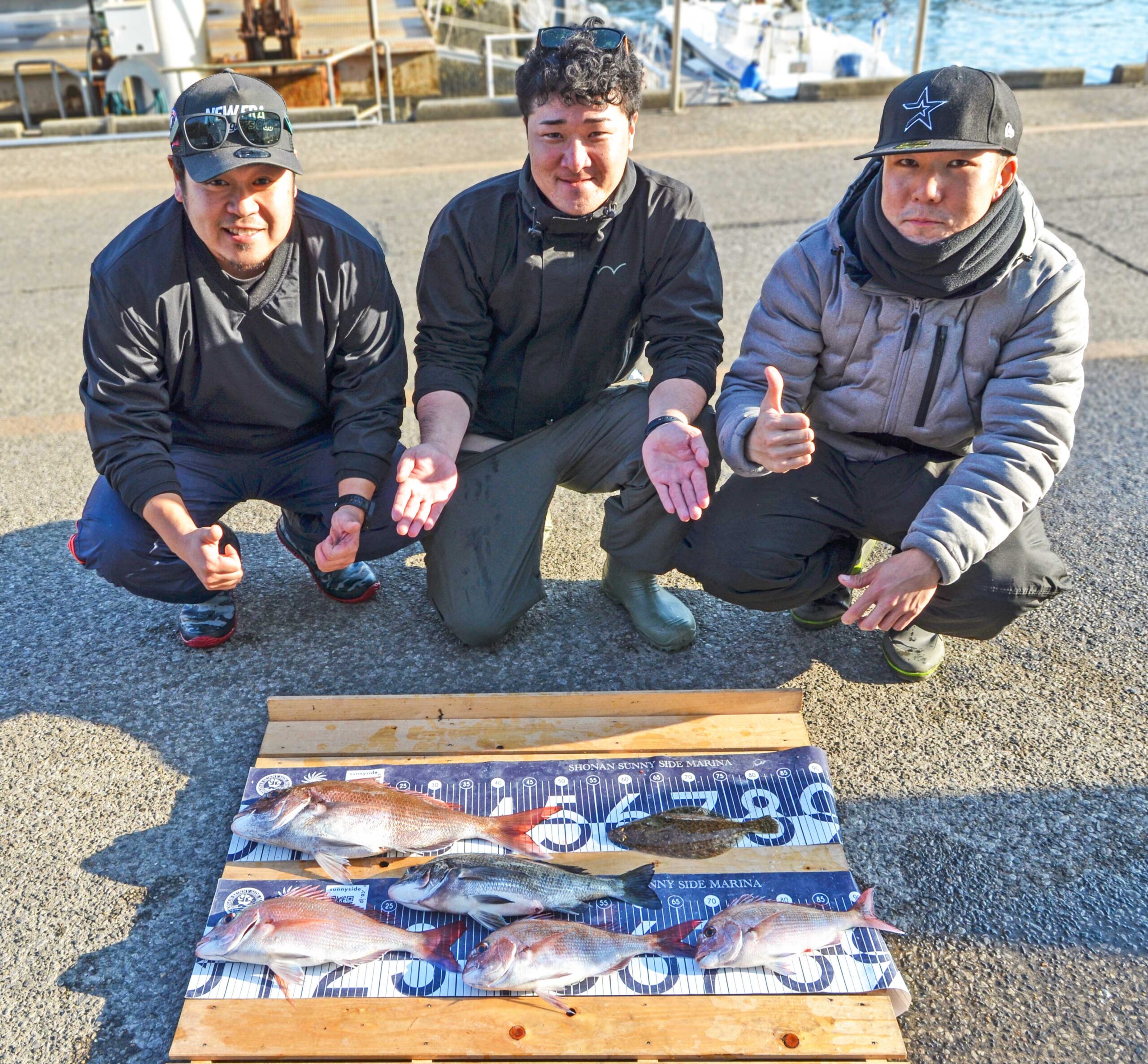 ✿マダイ・クロダイ・ムシガレイ✿